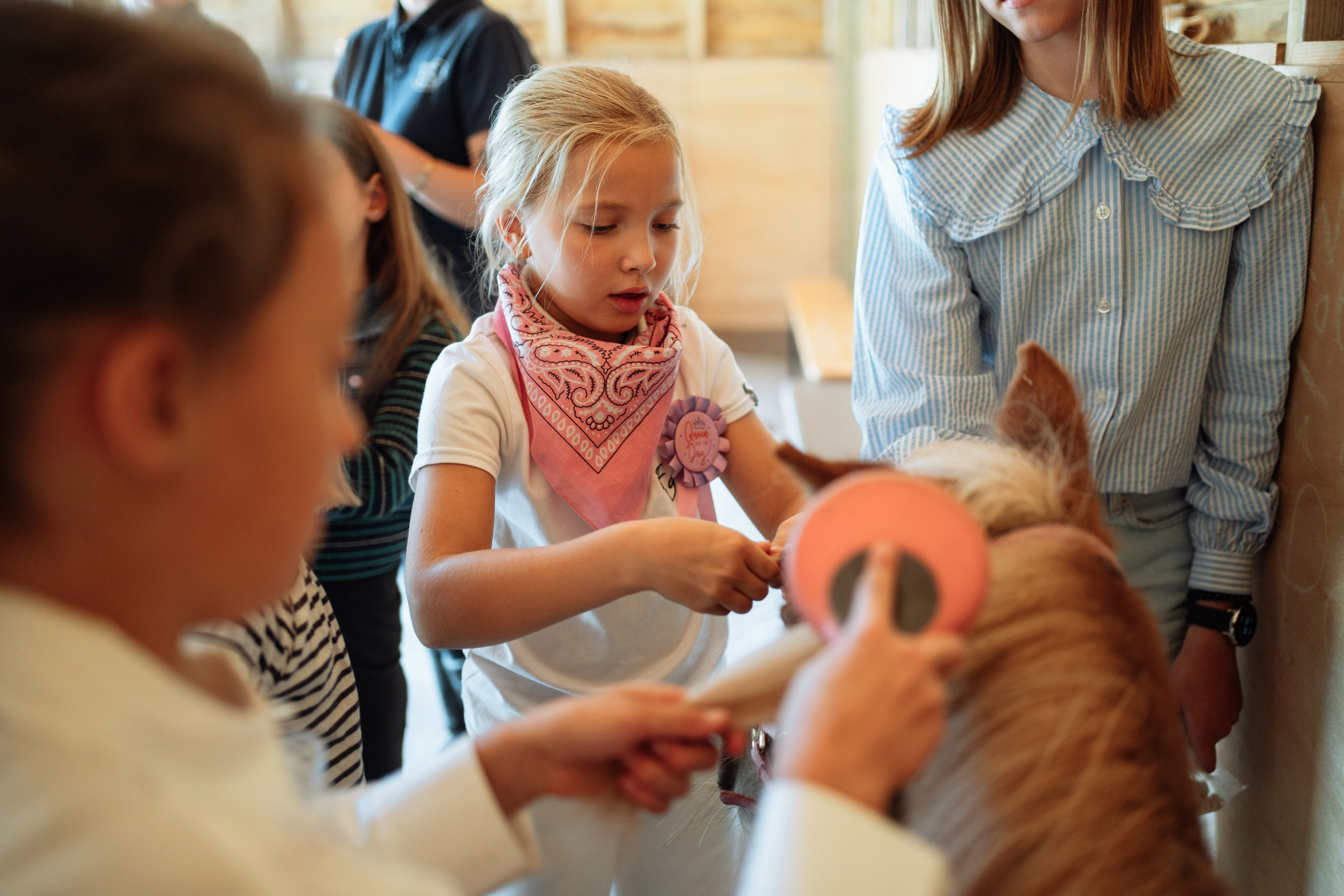 Horse party. Photographer in London Daria Agafonova