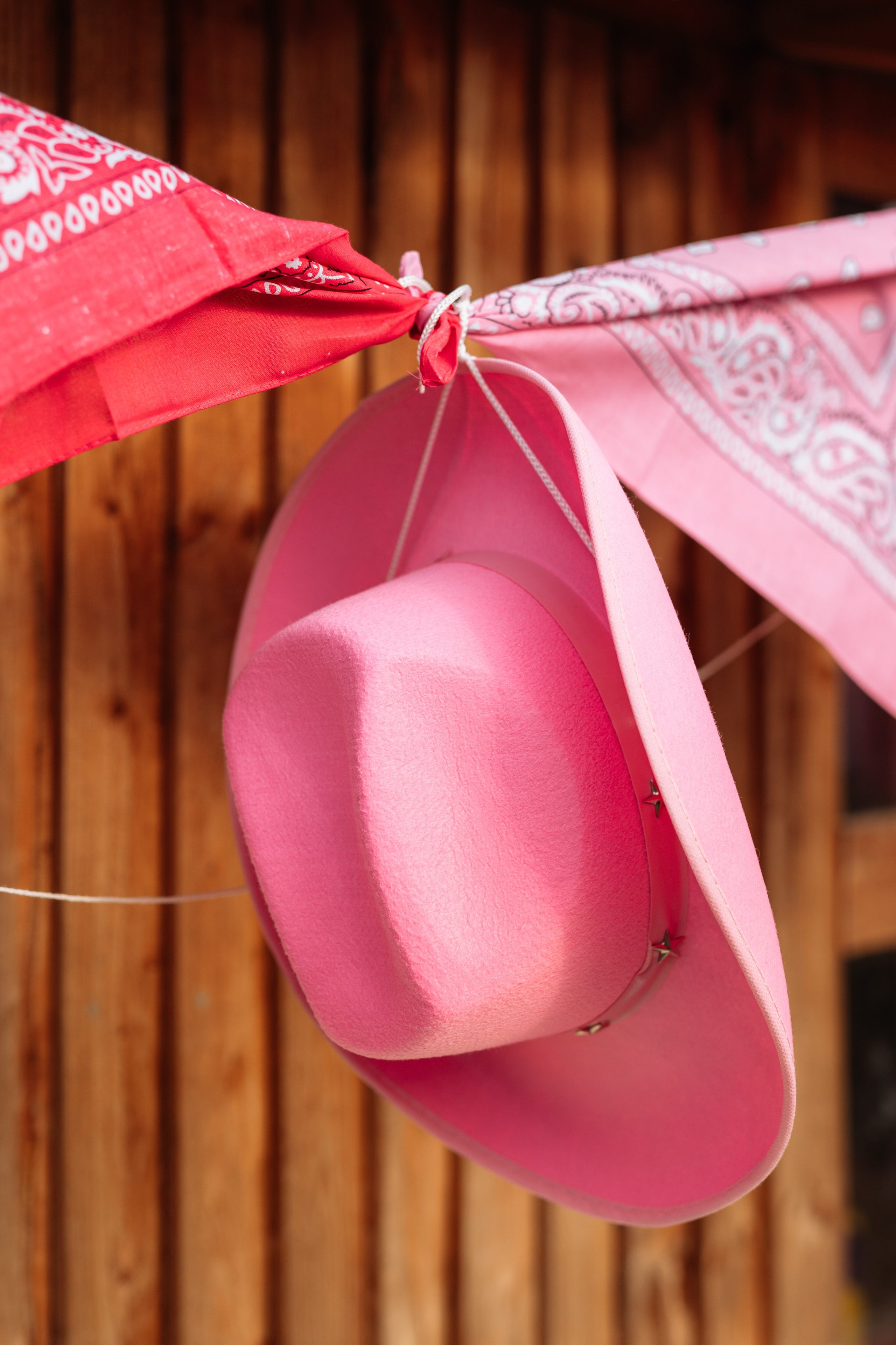 Horse party. Photographer in London Daria Agafonova