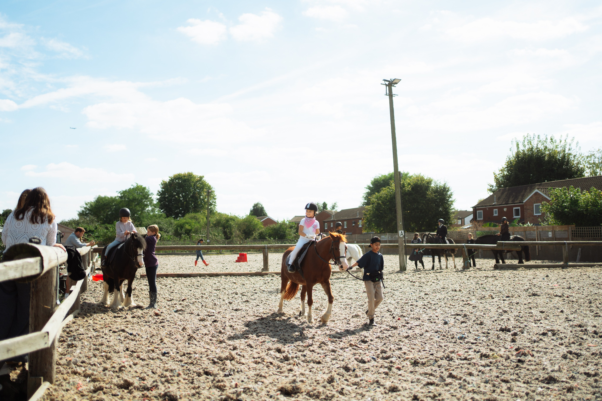 Horse party. Photographer in London Daria Agafonova
