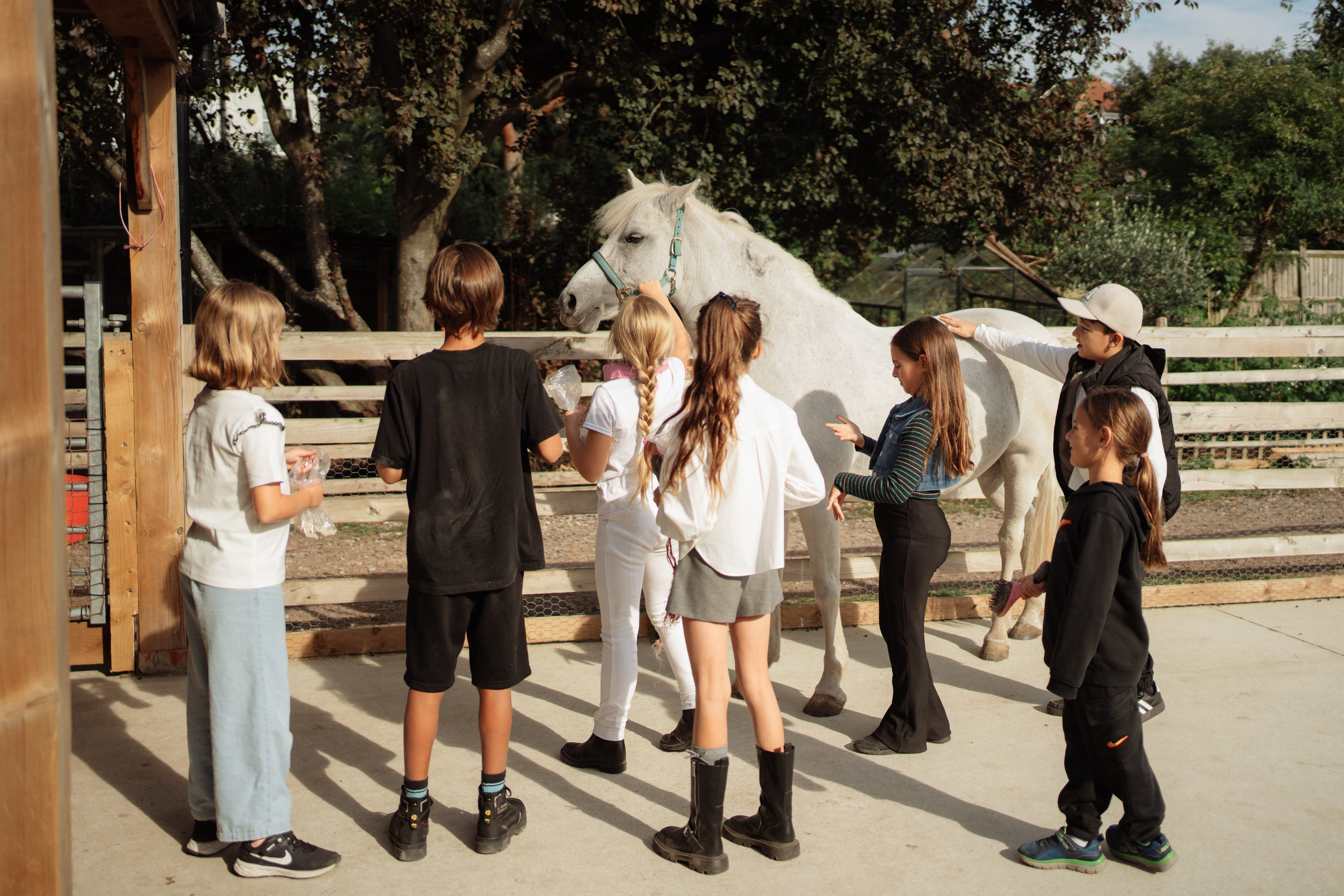 Horse party. Photographer in London Daria Agafonova