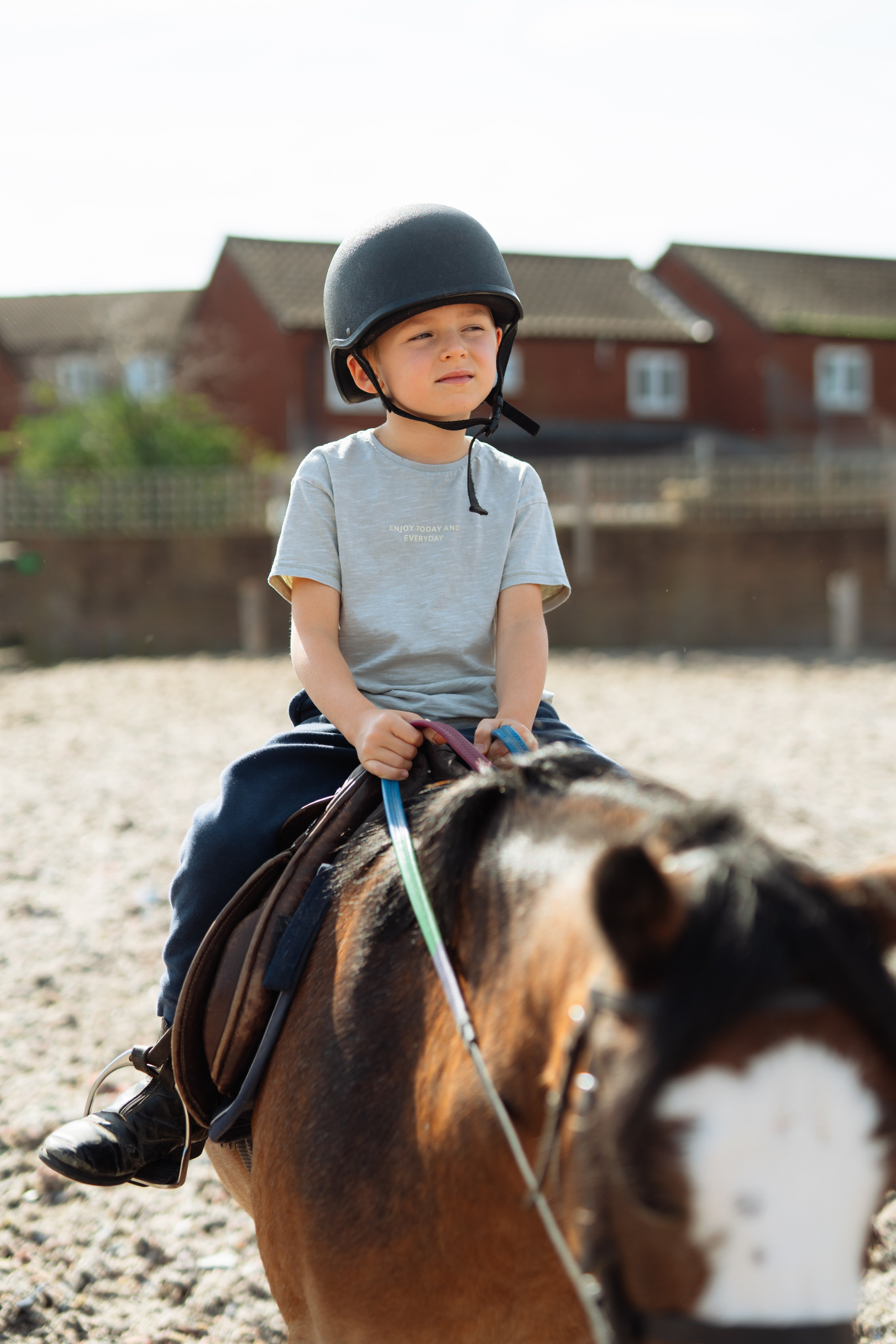 Horse party. Photographer in London Daria Agafonova