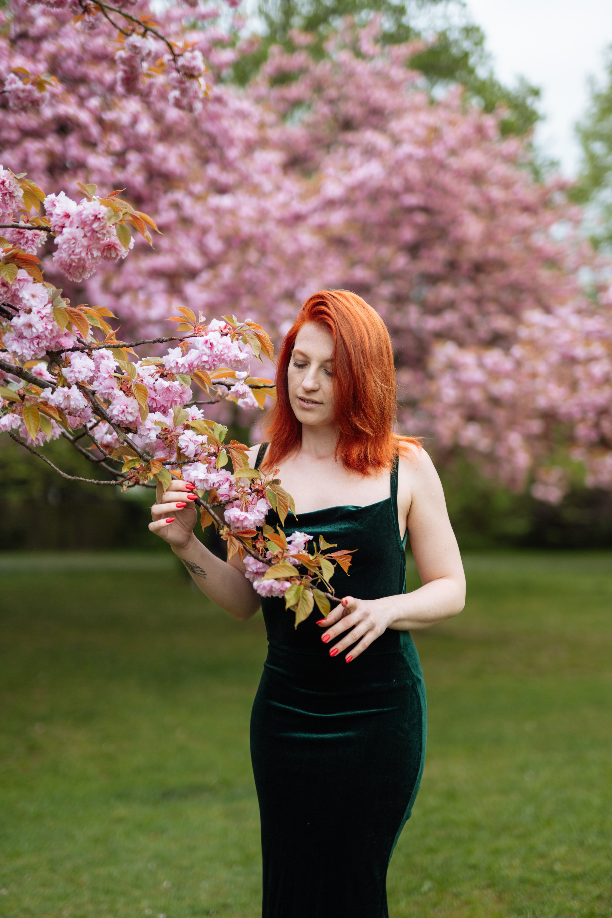 Fully blloming. Photographer in London Daria Agafonova