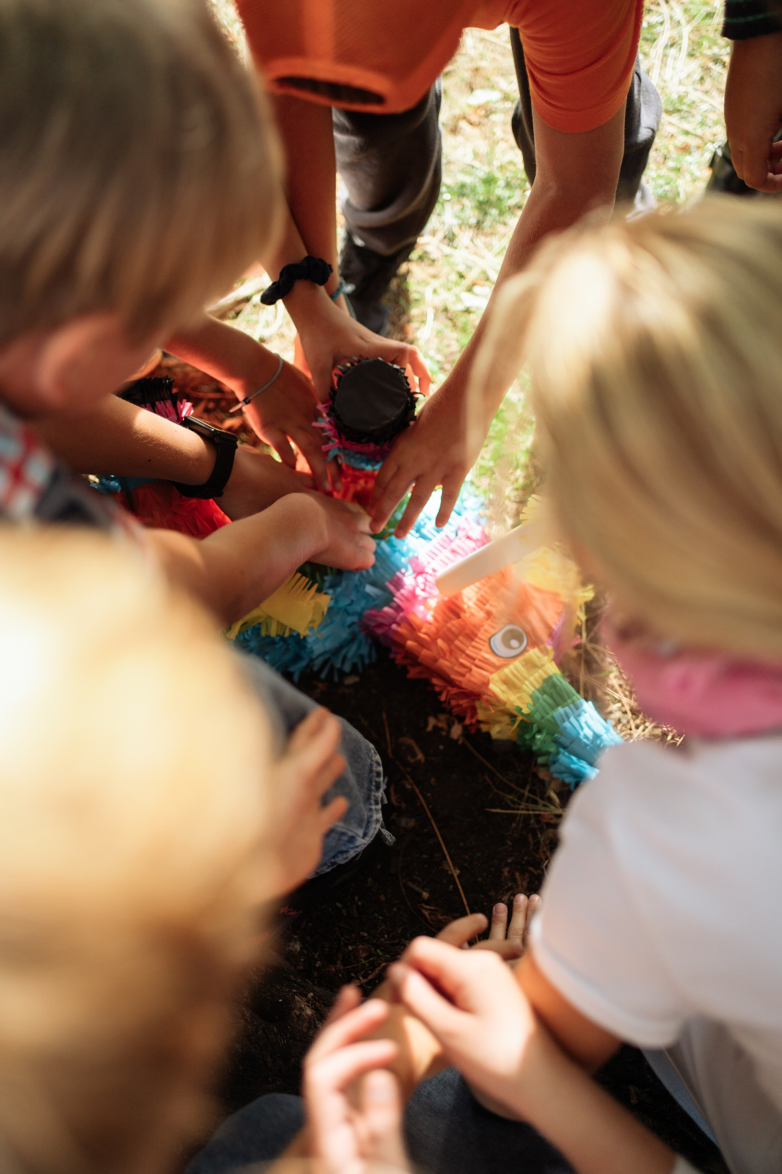 Horse party. Photographer in London Daria Agafonova