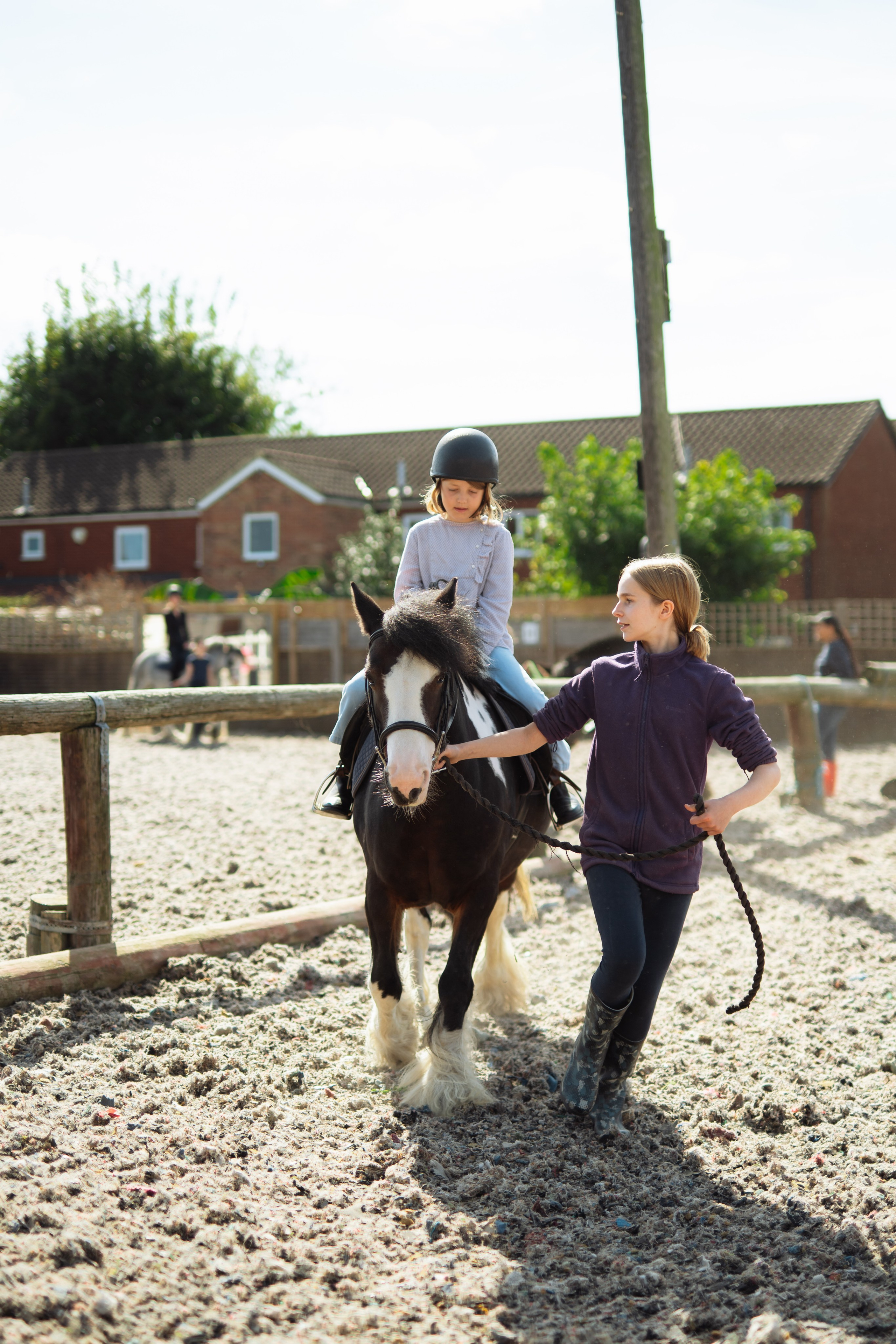 Horse party. Photographer in London Daria Agafonova