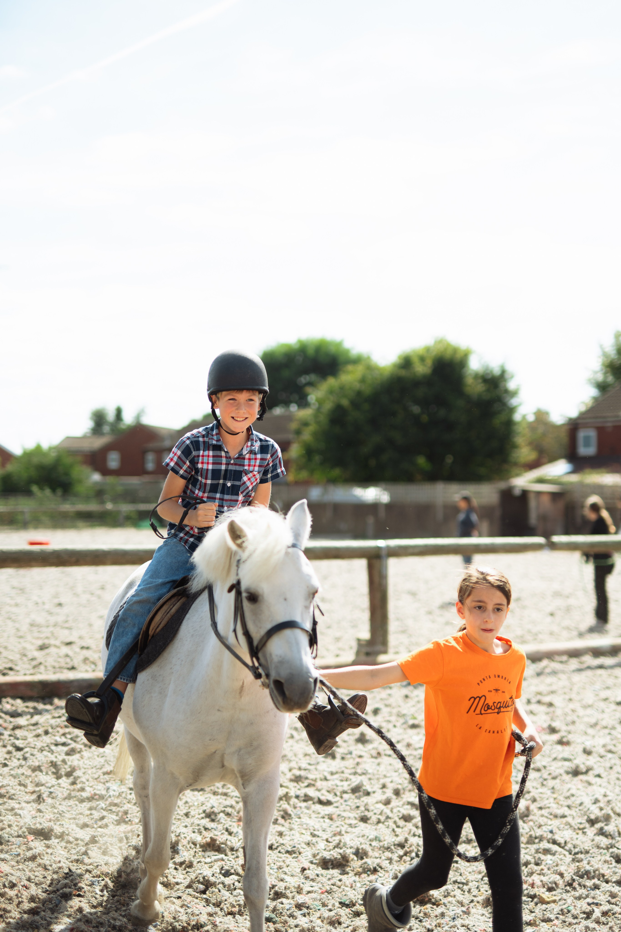 Horse party. Photographer in London Daria Agafonova