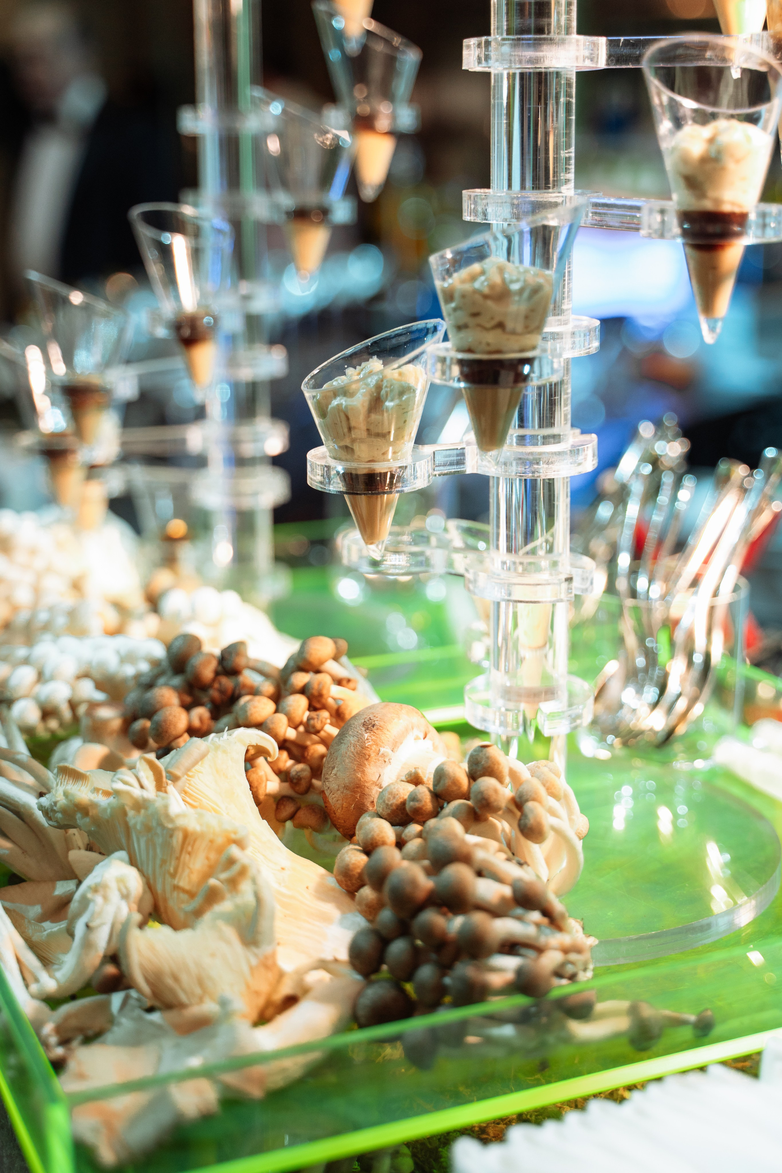 Victoria and Albert Museum. London. Photographer in London Daria Agafonova