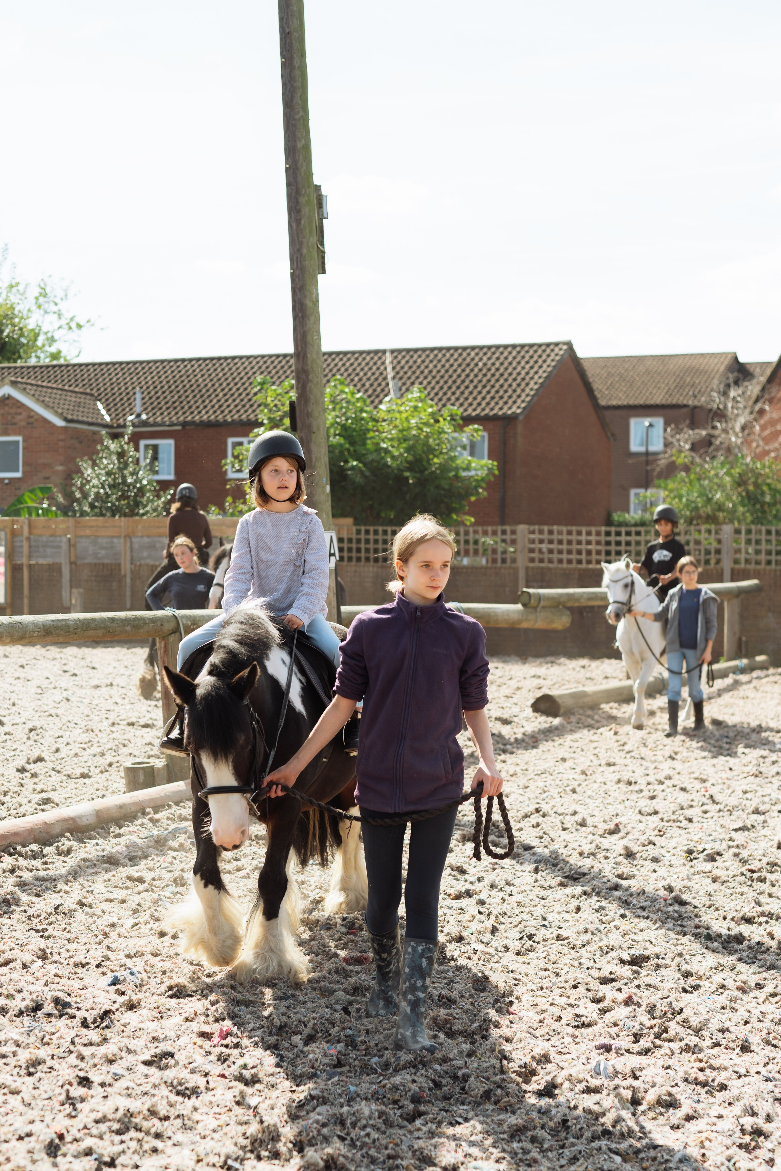 Horse party. Photographer in London Daria Agafonova