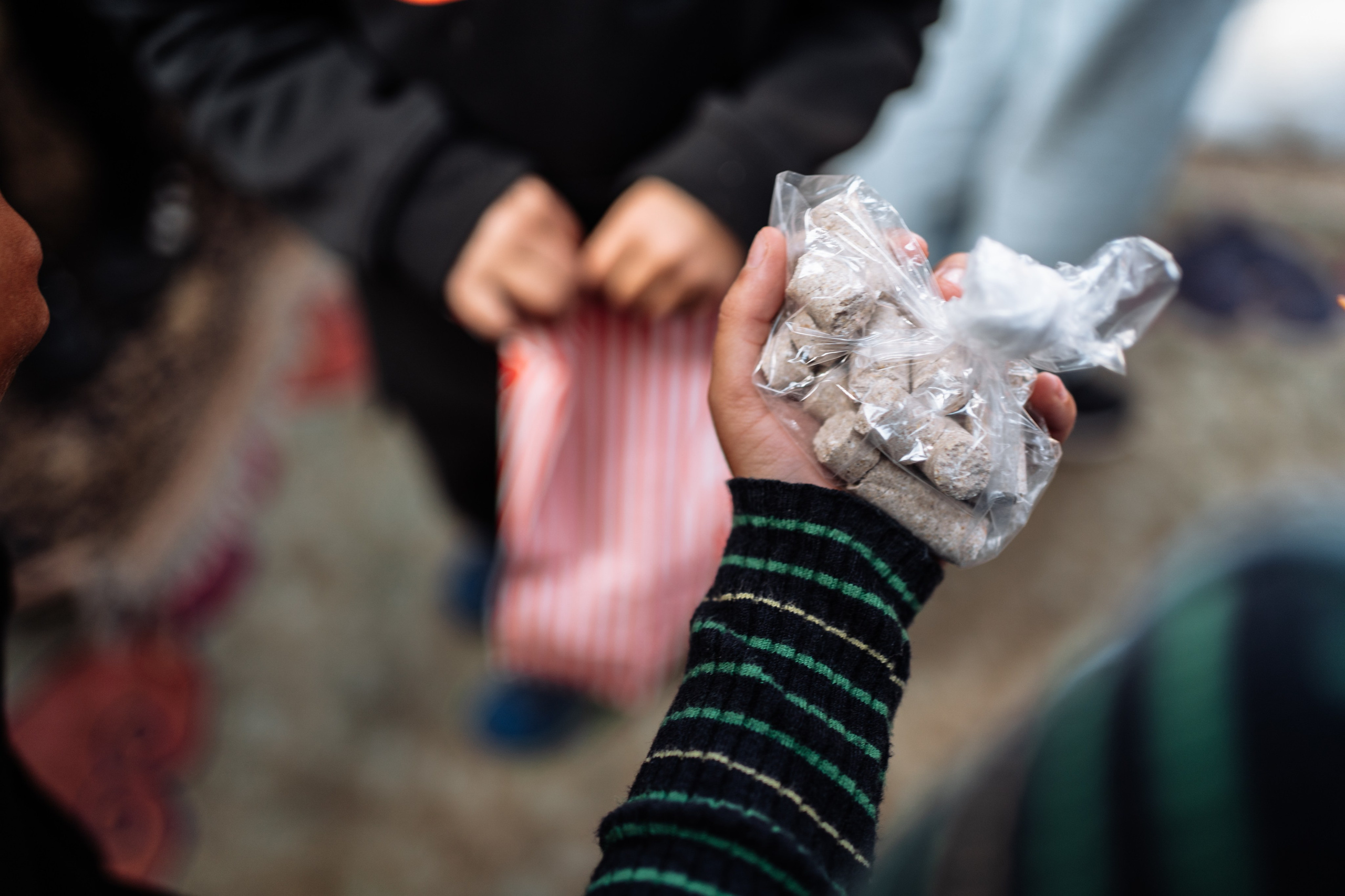 Horse party. Photographer in London Daria Agafonova