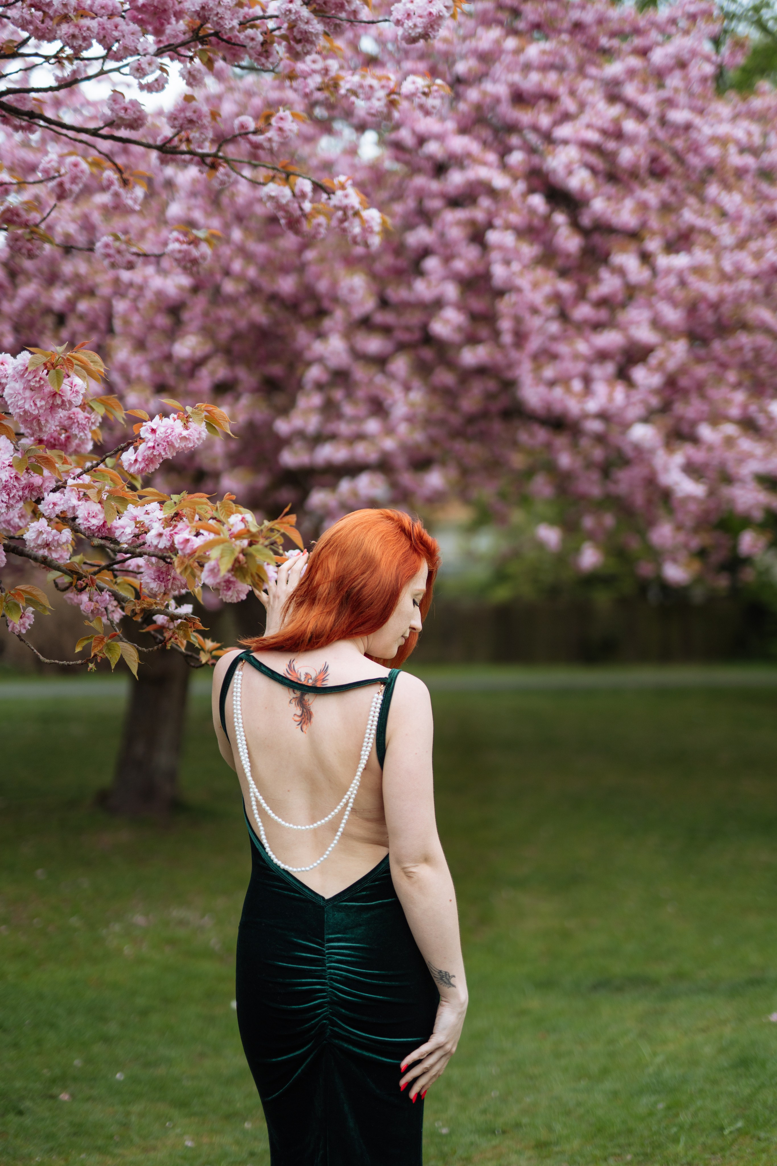 Fully blloming. Photographer in London Daria Agafonova