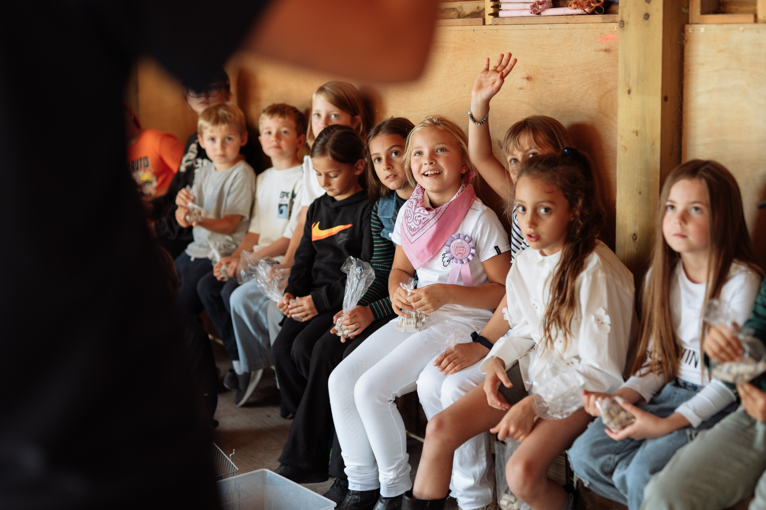 Horse party. Photographer in London Daria Agafonova