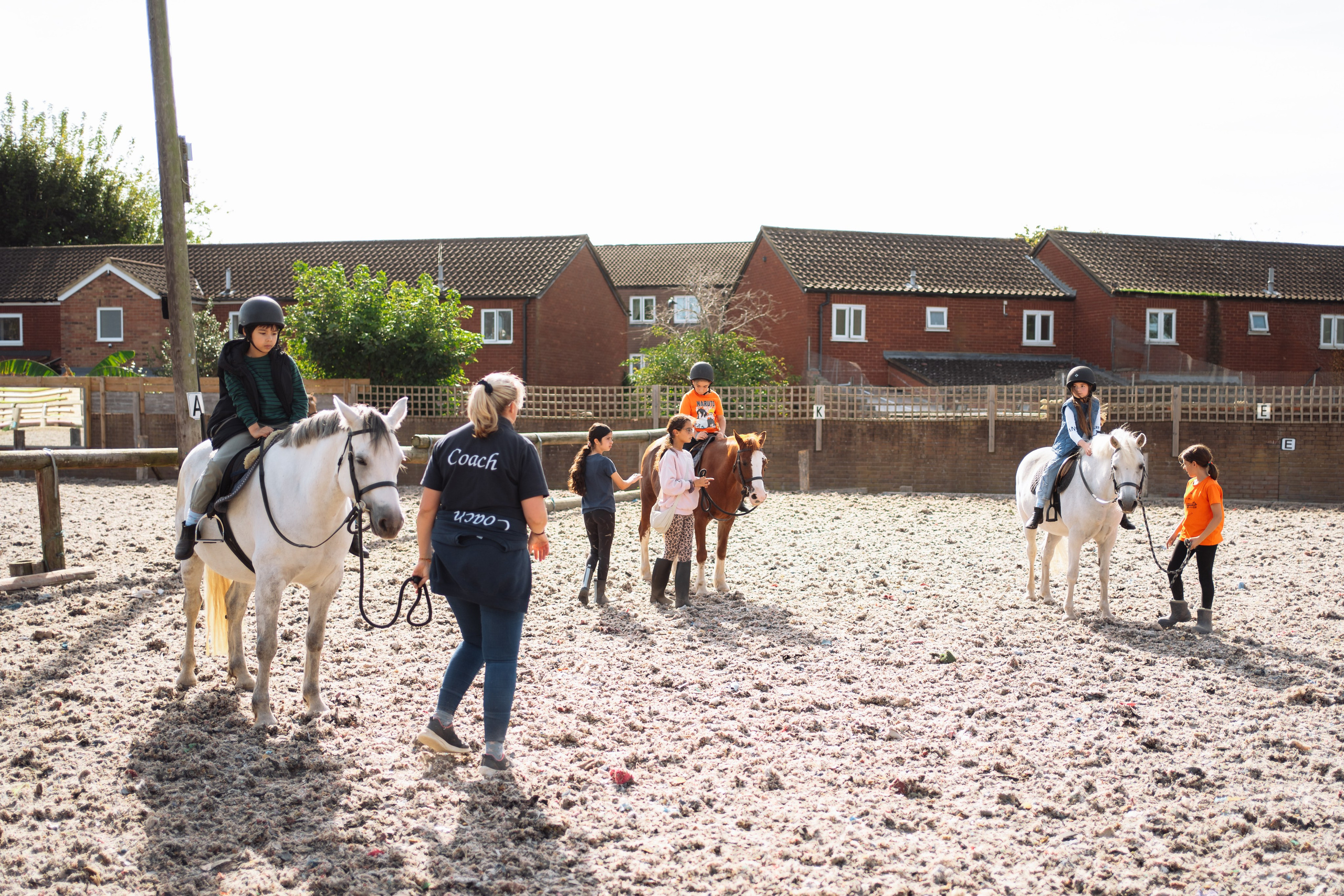 Horse party. Photographer in London Daria Agafonova