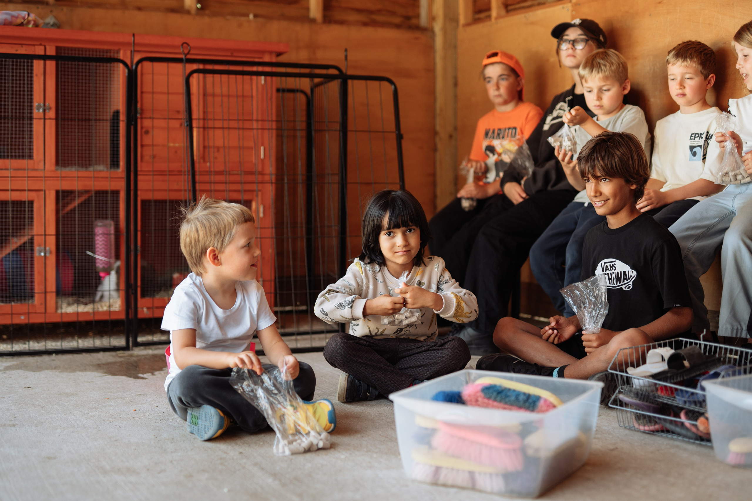 Horse party. Photographer in London Daria Agafonova