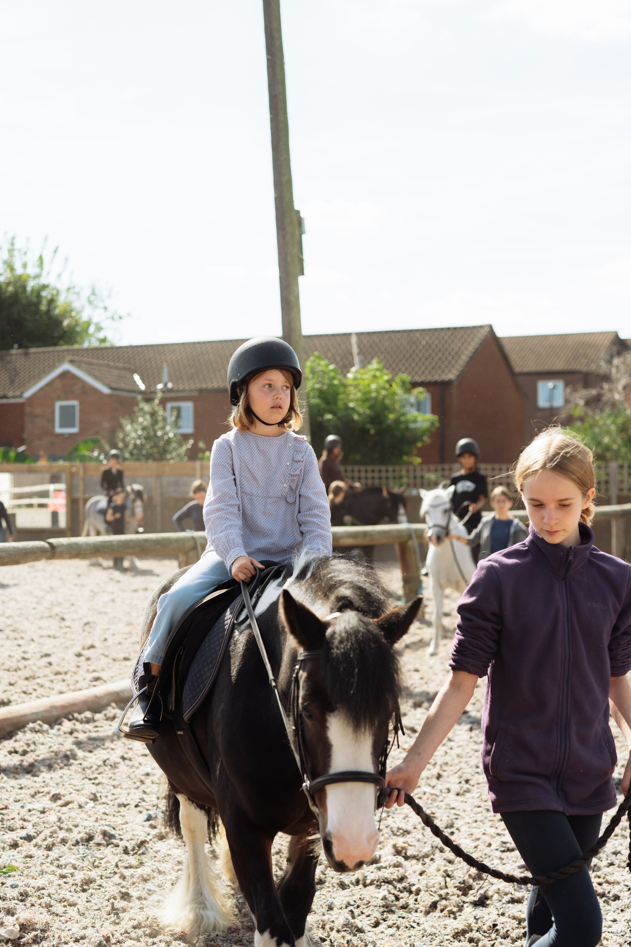 Horse party. Photographer in London Daria Agafonova