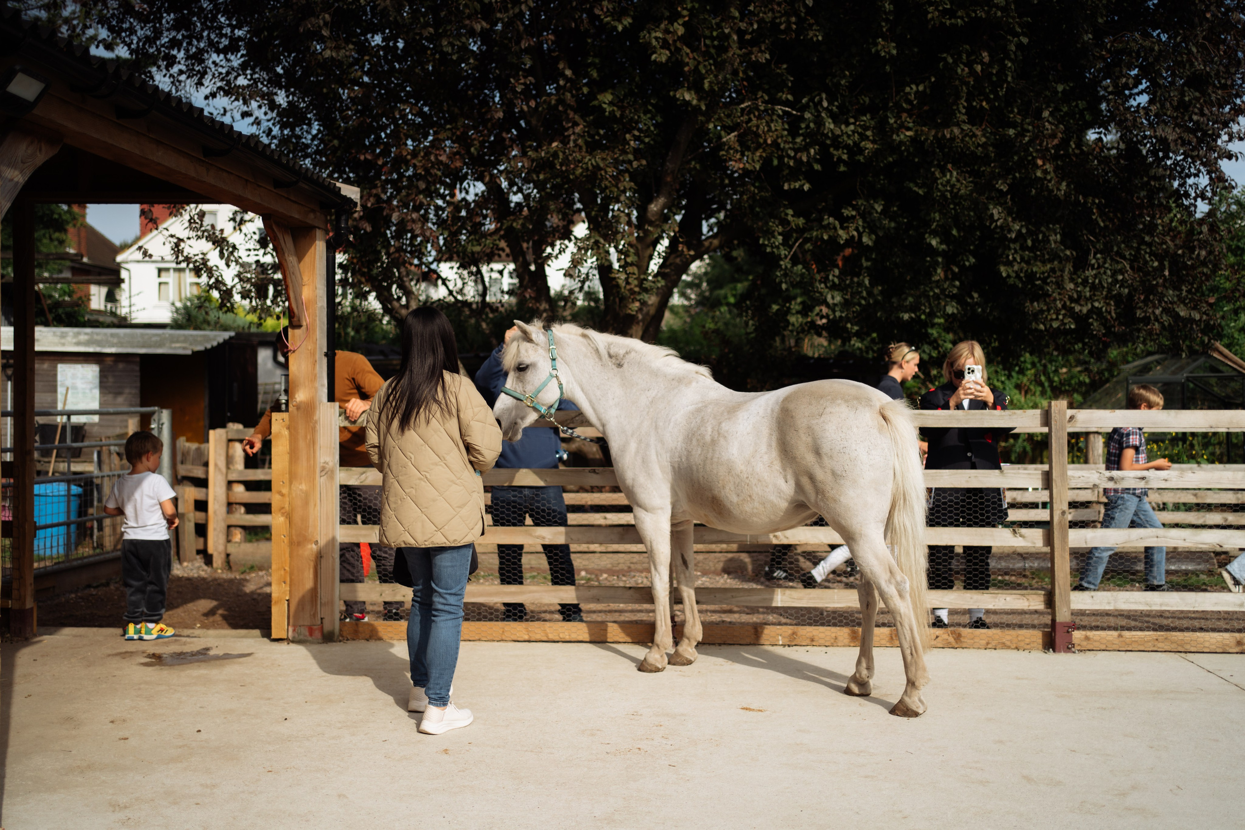 Horse party. Photographer in London Daria Agafonova