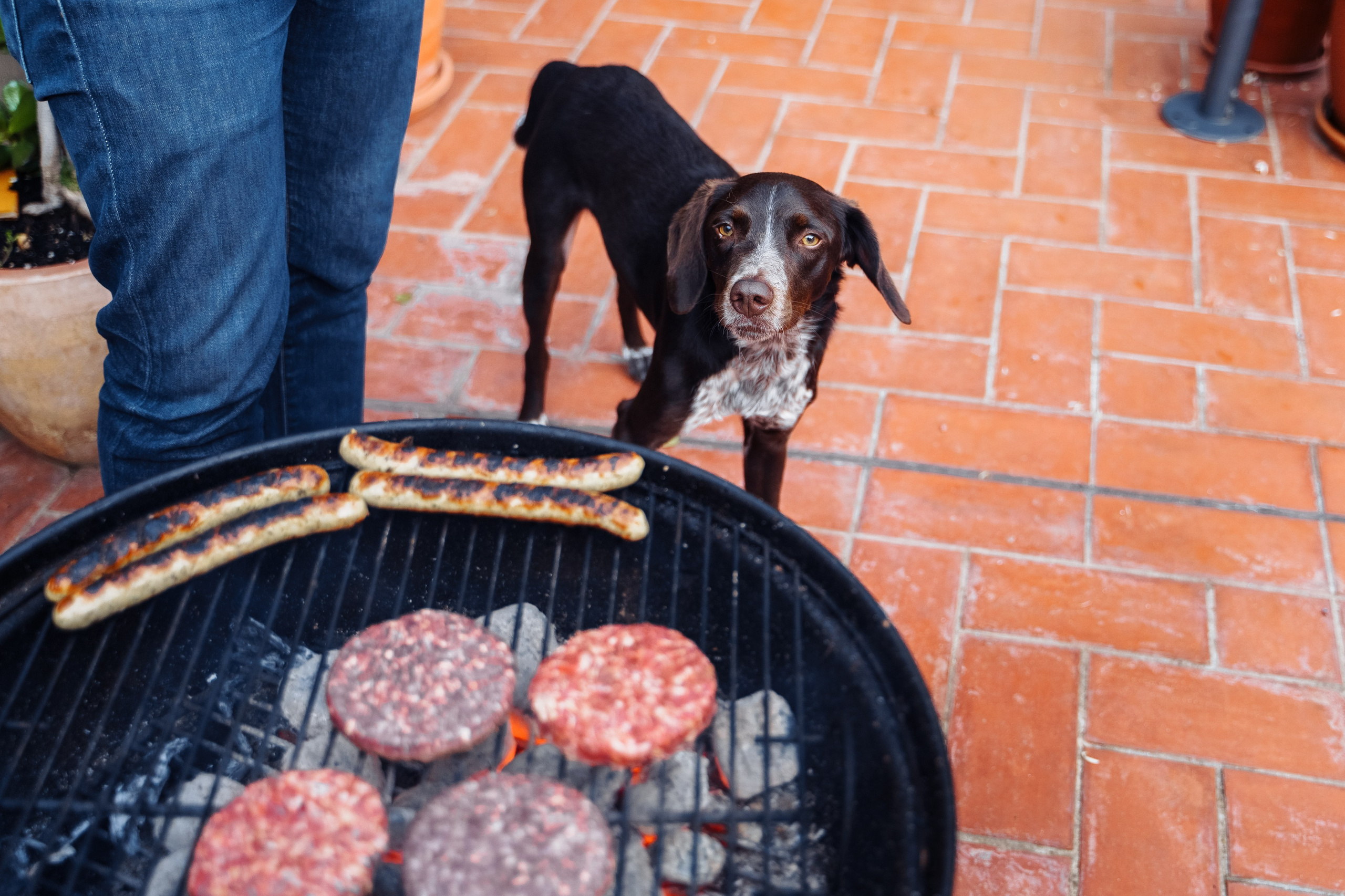 Home shooting. Photographer in London Daria Agafonova