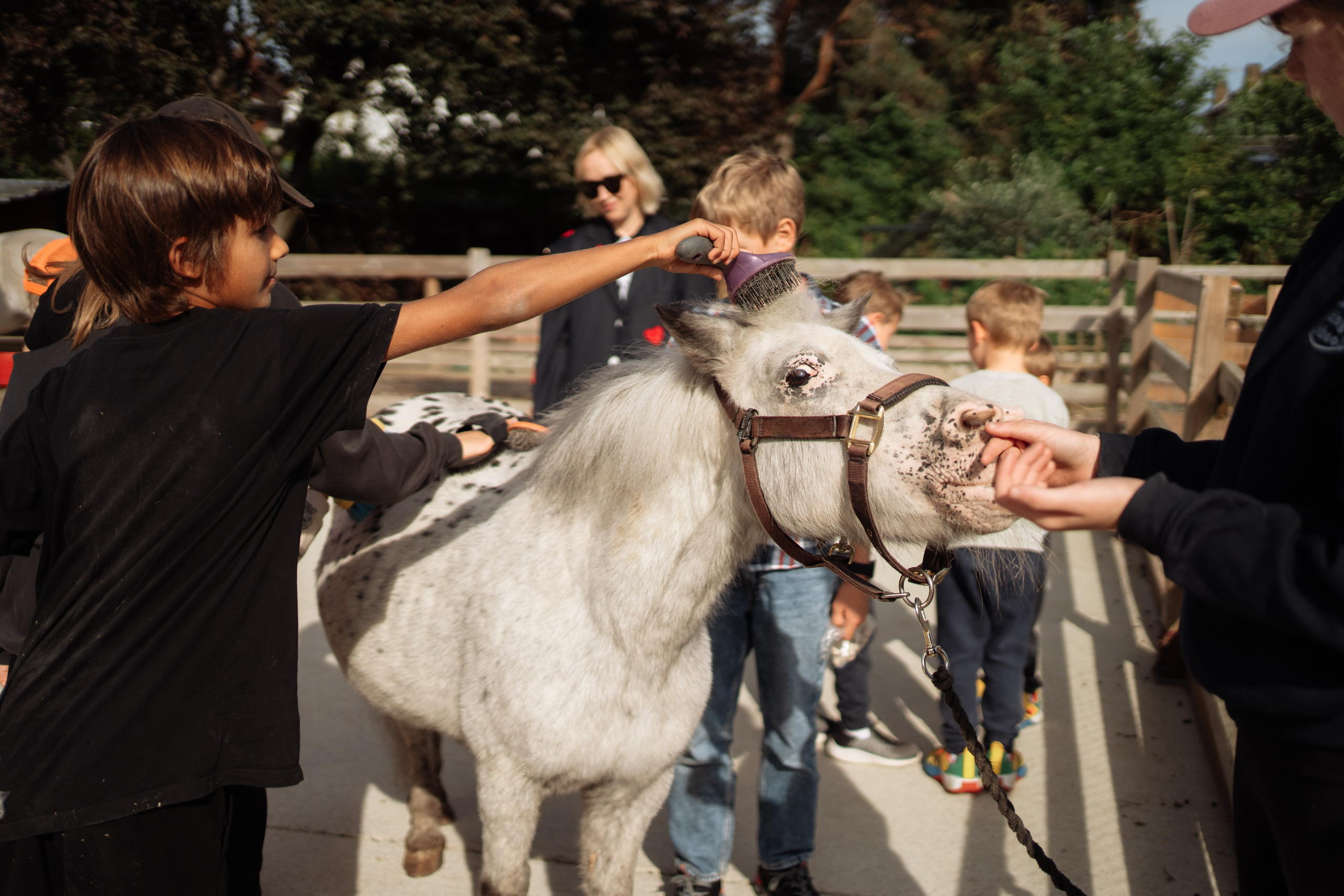 Horse party. Photographer in London Daria Agafonova