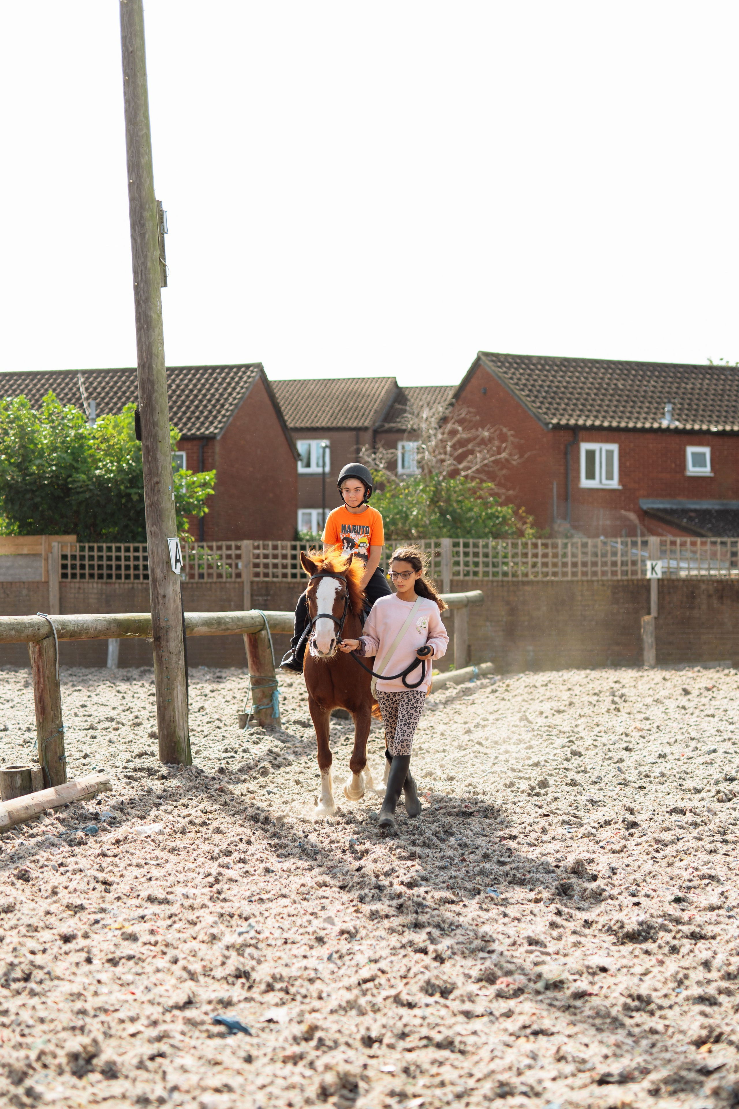 Horse party. Photographer in London Daria Agafonova