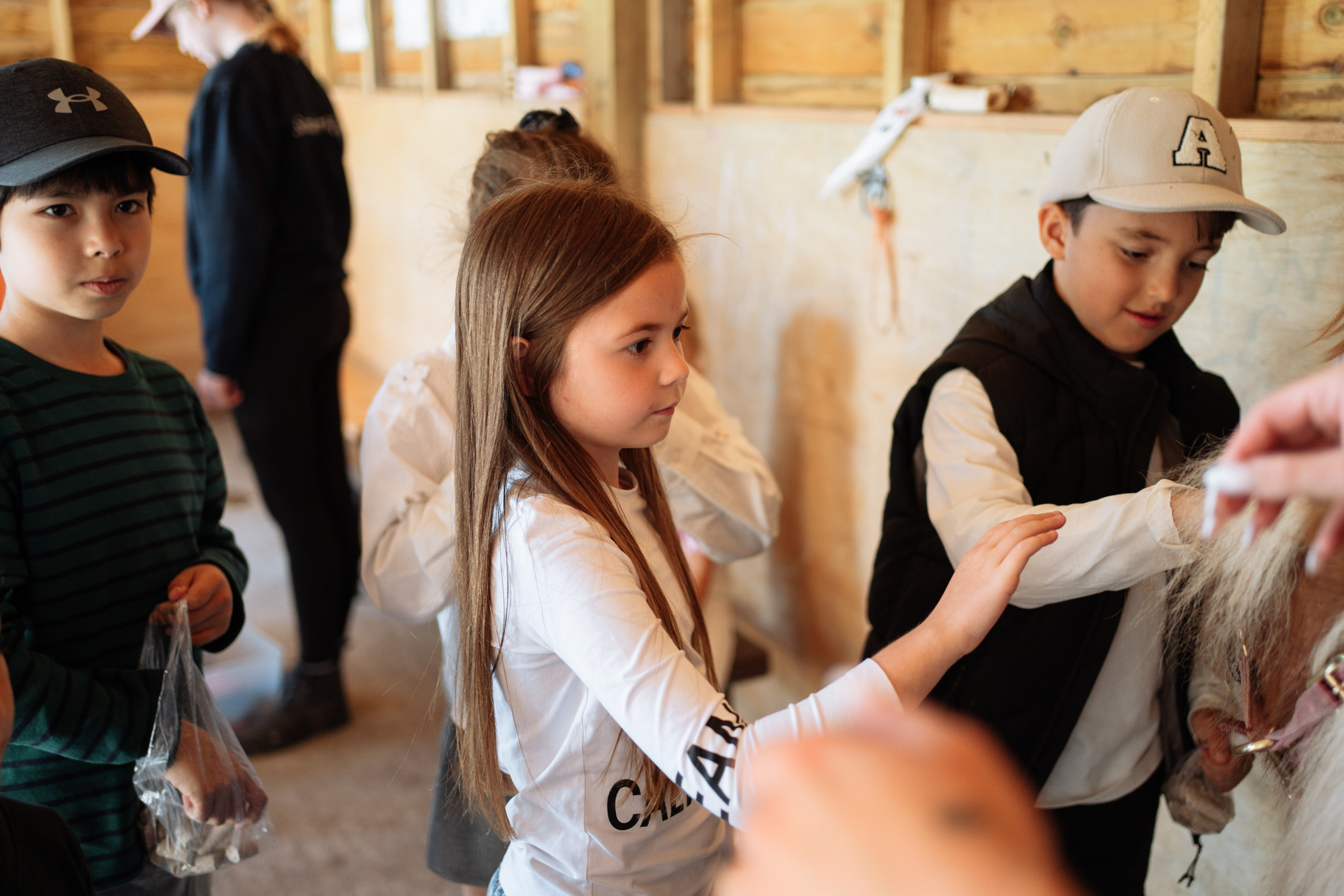 Horse party. Photographer in London Daria Agafonova