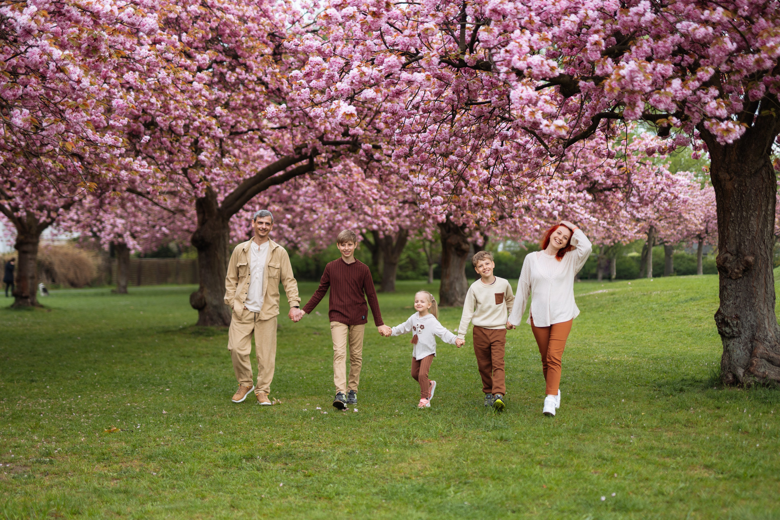 Fully blloming. Photographer in London Daria Agafonova