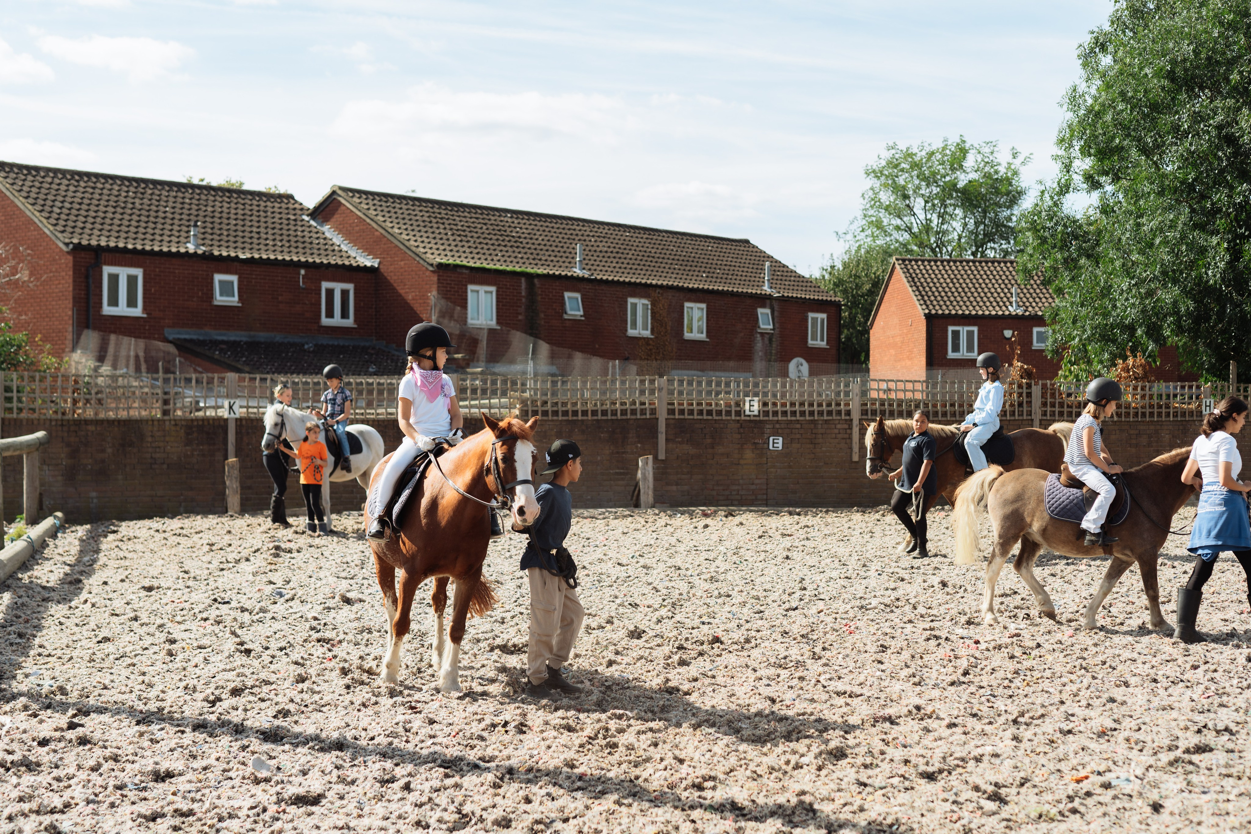 Horse party. Photographer in London Daria Agafonova