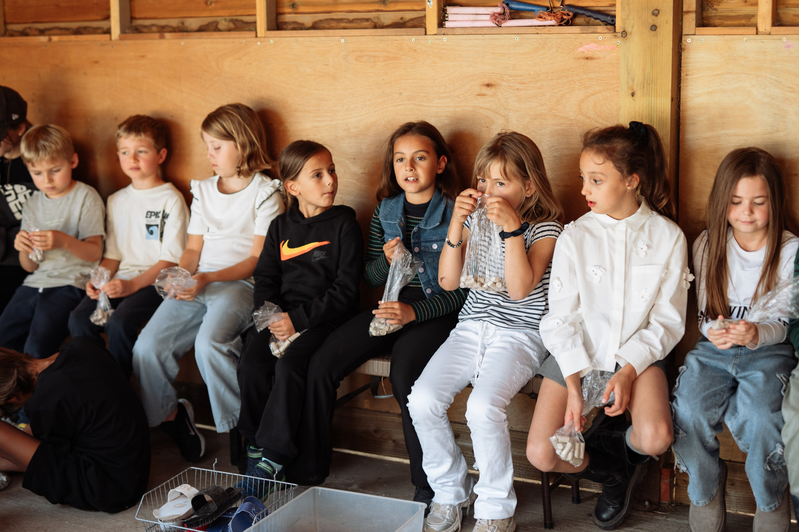 Horse party. Photographer in London Daria Agafonova