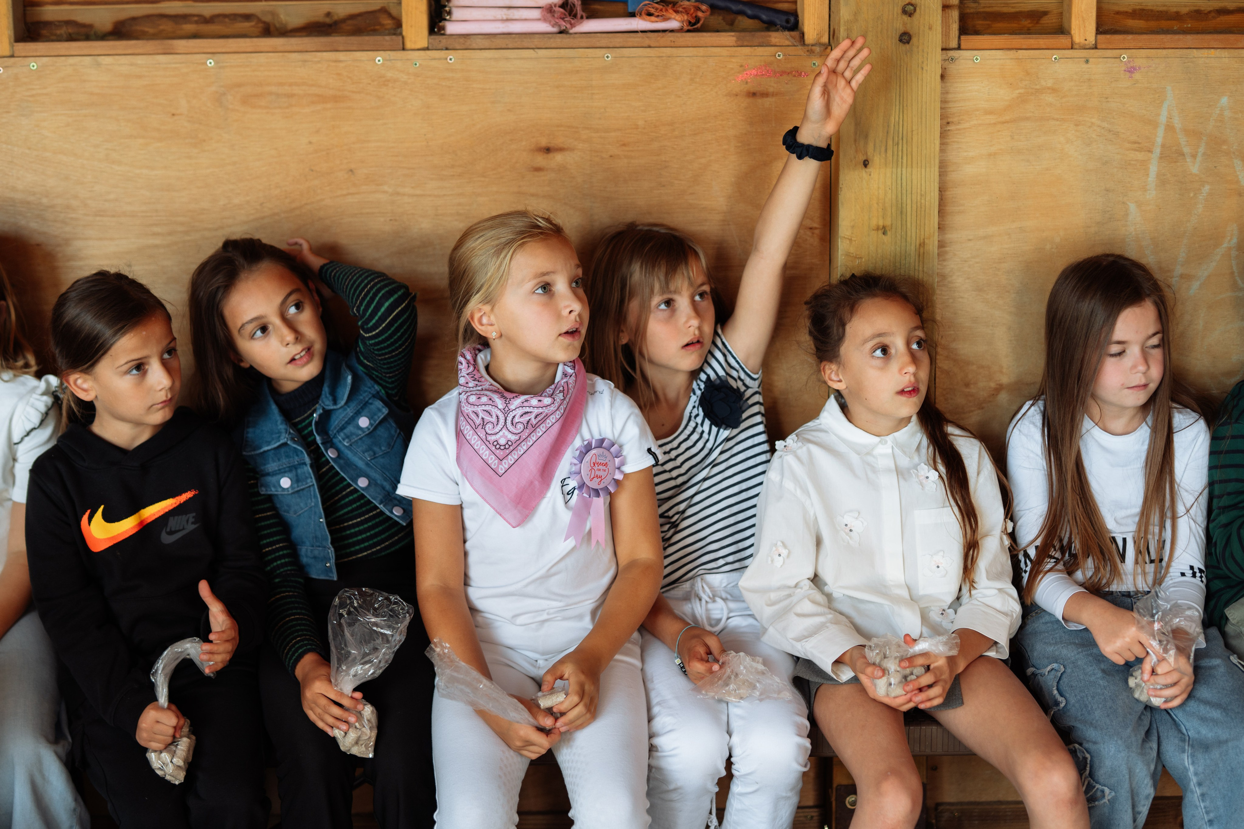 Horse party. Photographer in London Daria Agafonova