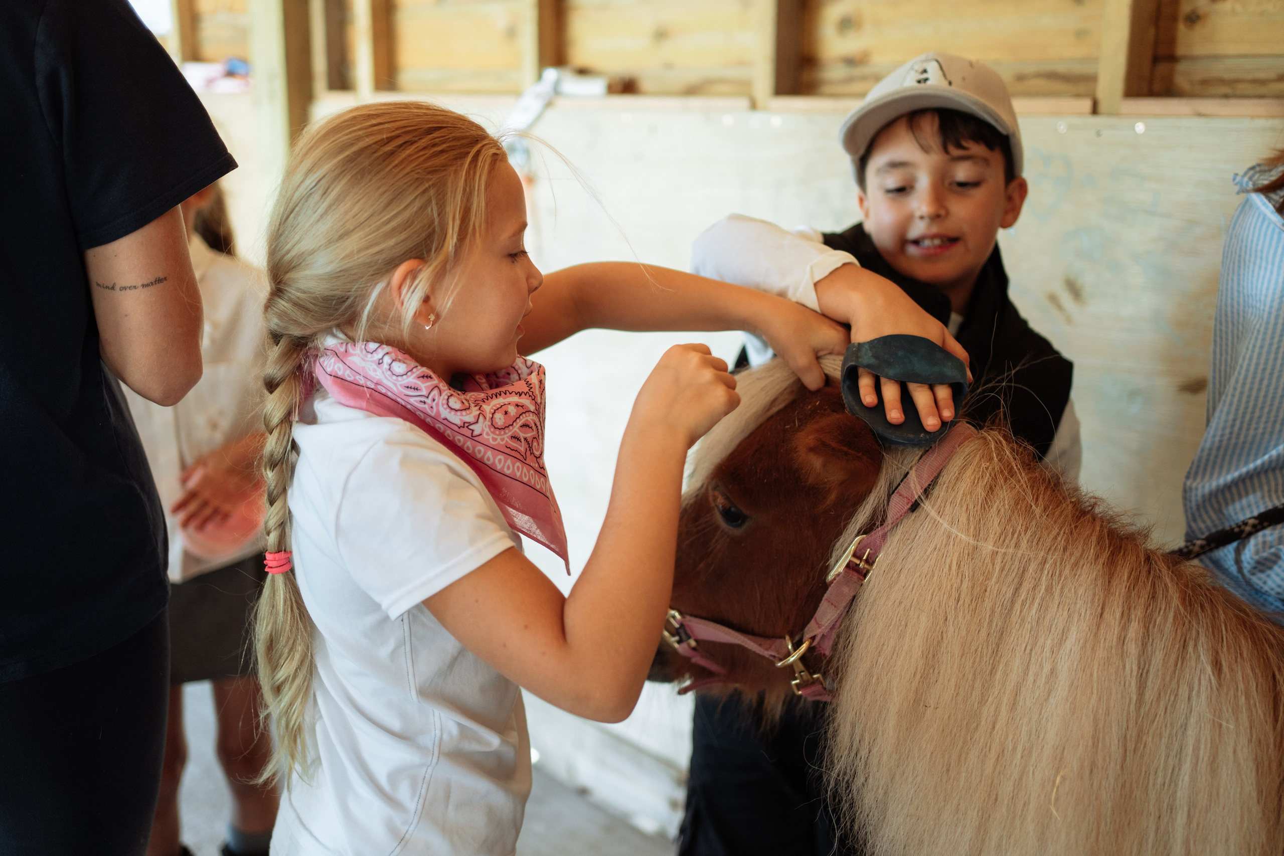 Horse party. Photographer in London Daria Agafonova