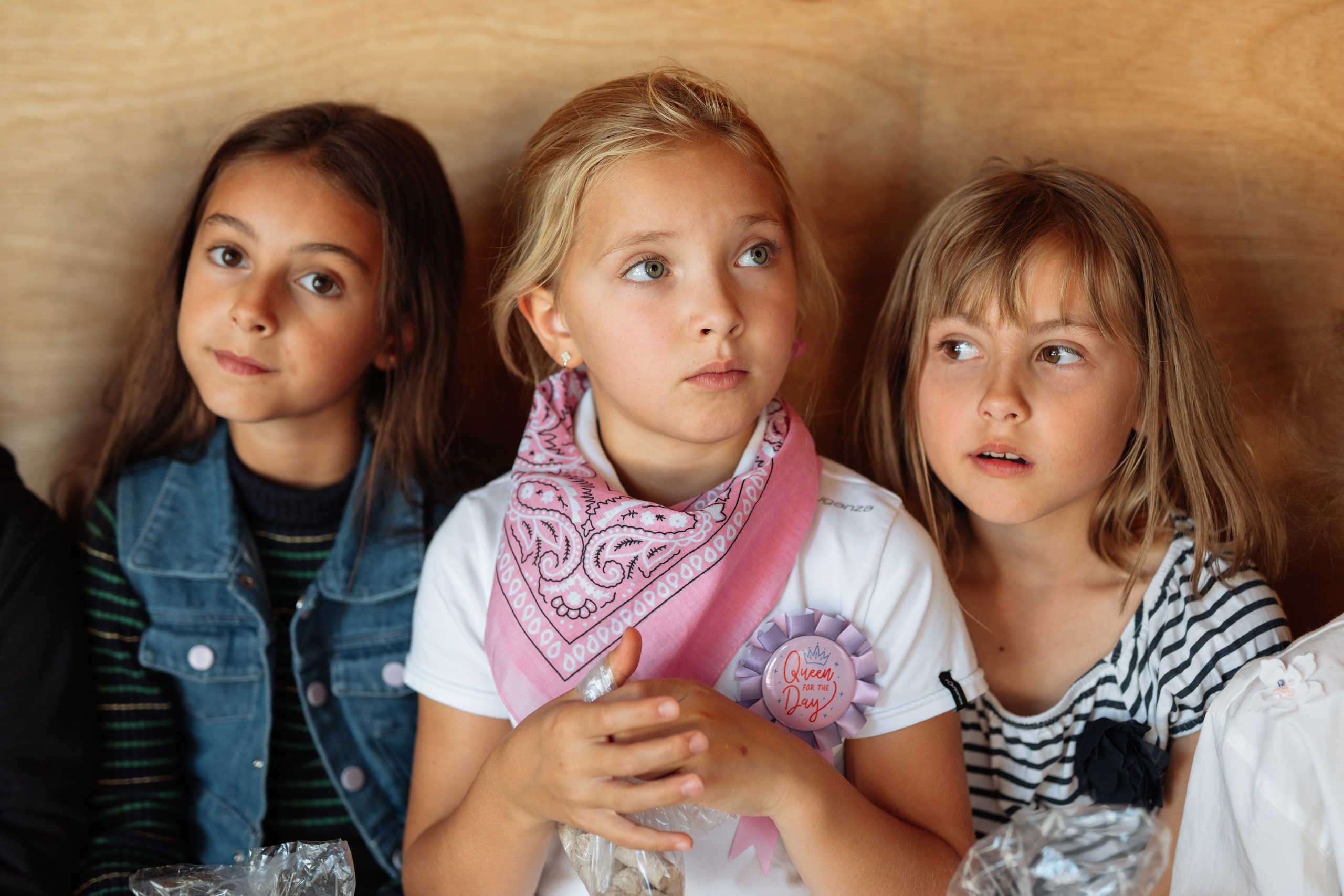 Horse party. Photographer in London Daria Agafonova