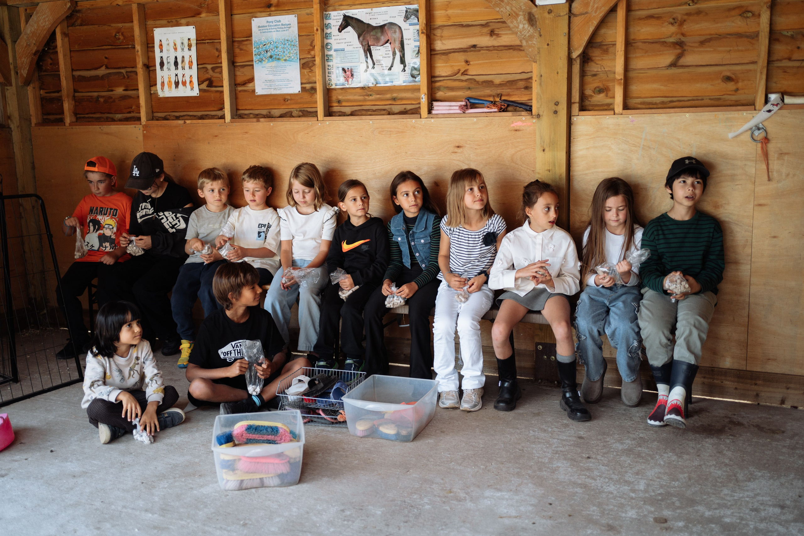 Horse party. Photographer in London Daria Agafonova