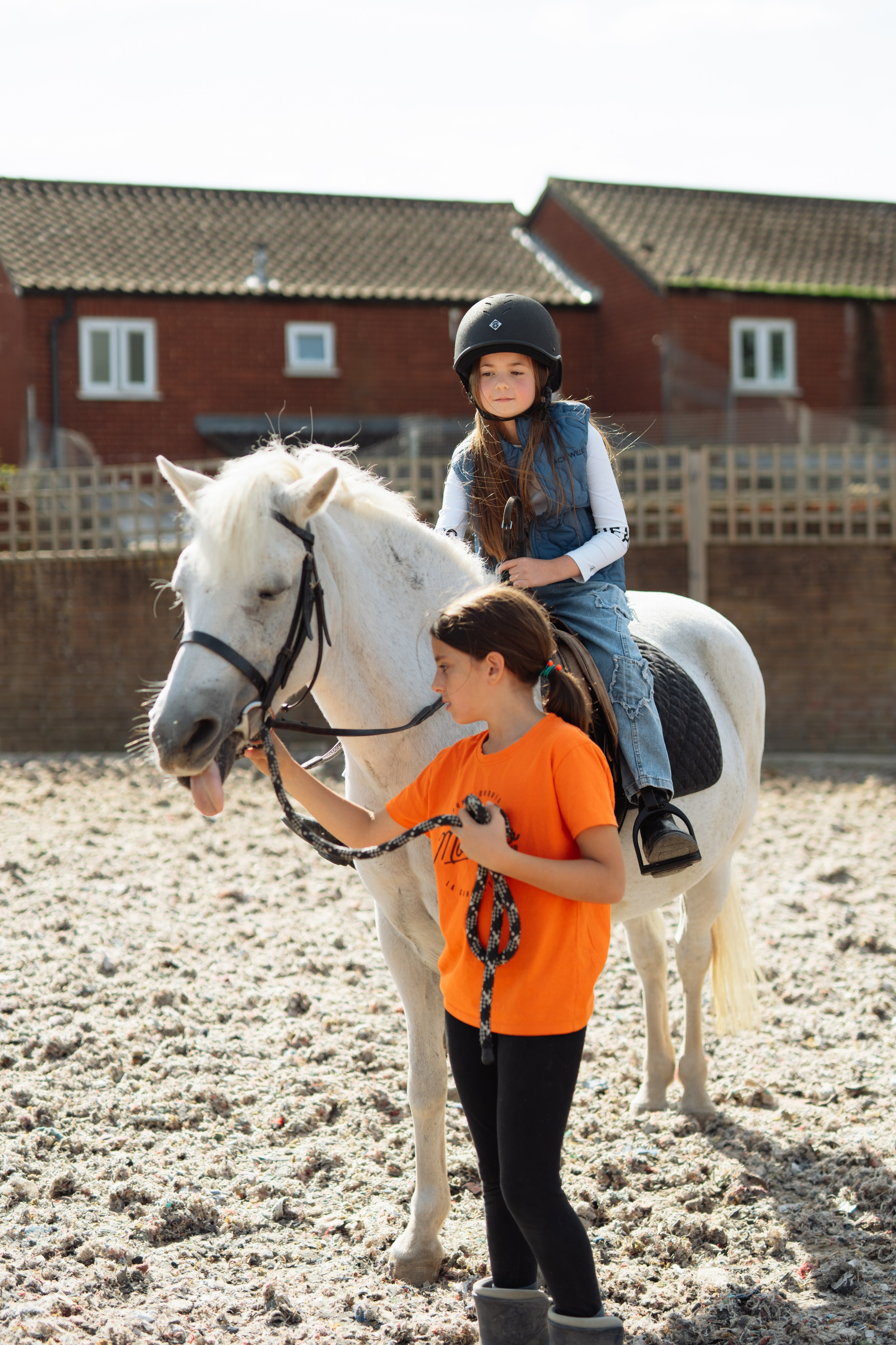 Horse party. Photographer in London Daria Agafonova