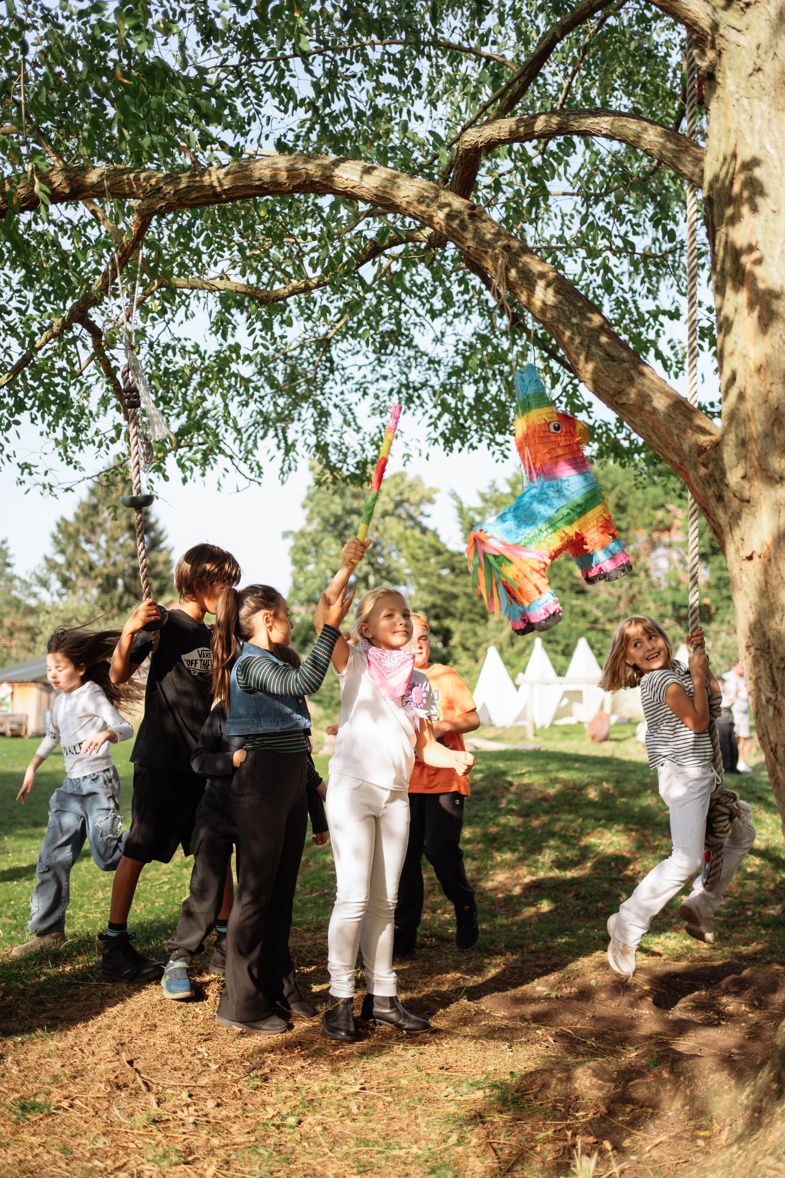 Horse party. Photographer in London Daria Agafonova