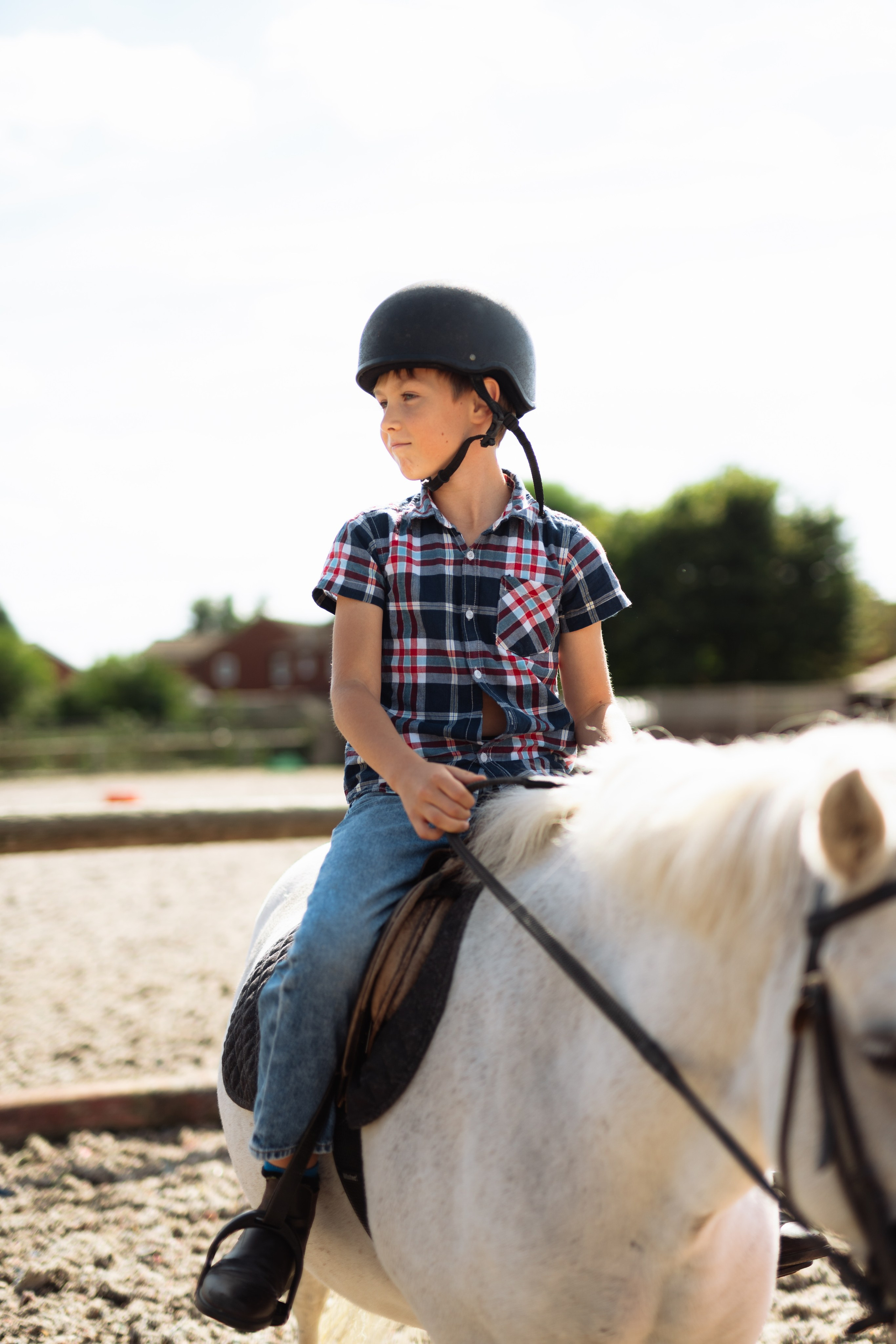 Horse party. Photographer in London Daria Agafonova