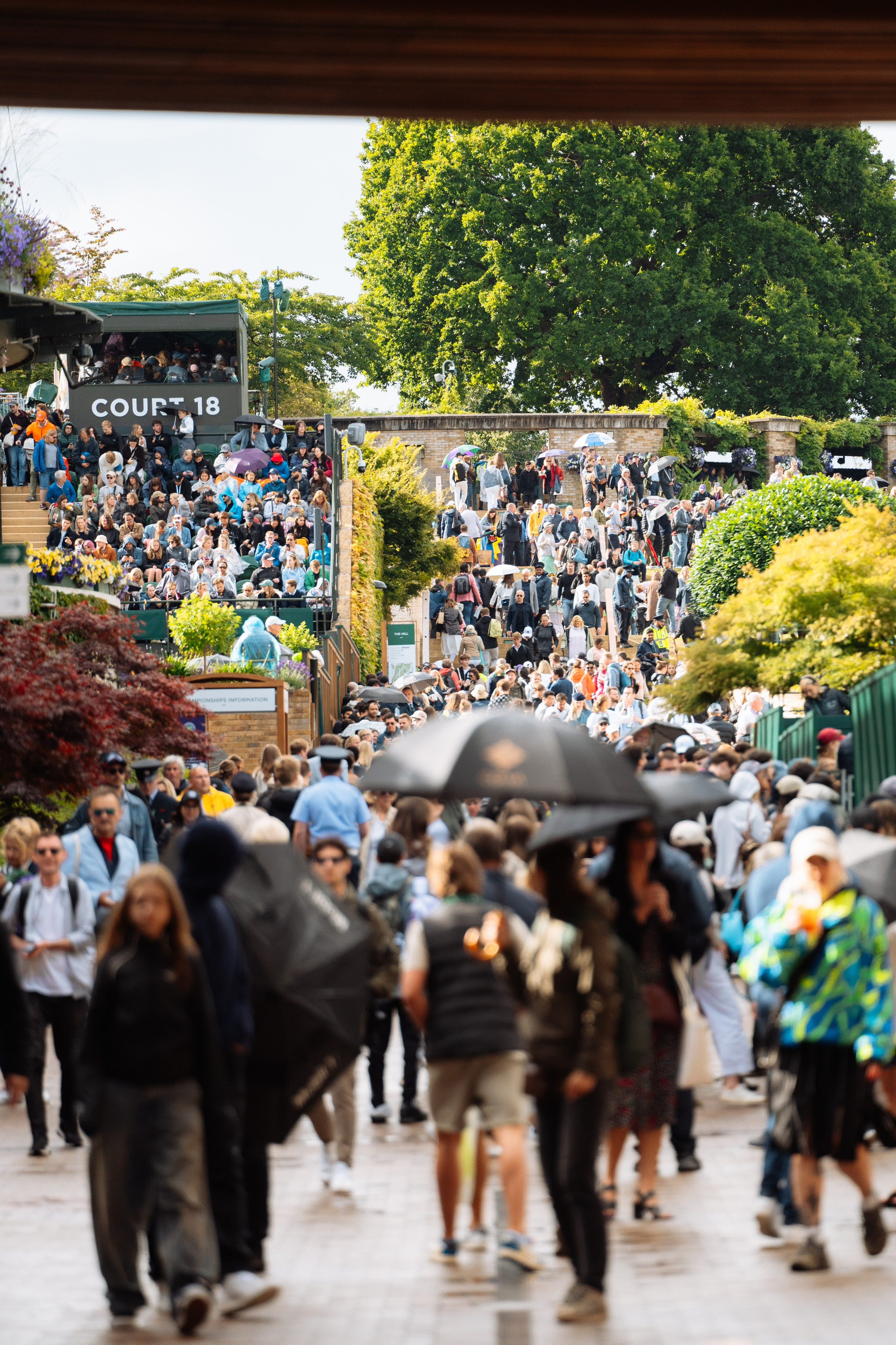 Wimbledon. London. Photographer in London Daria Agafonova