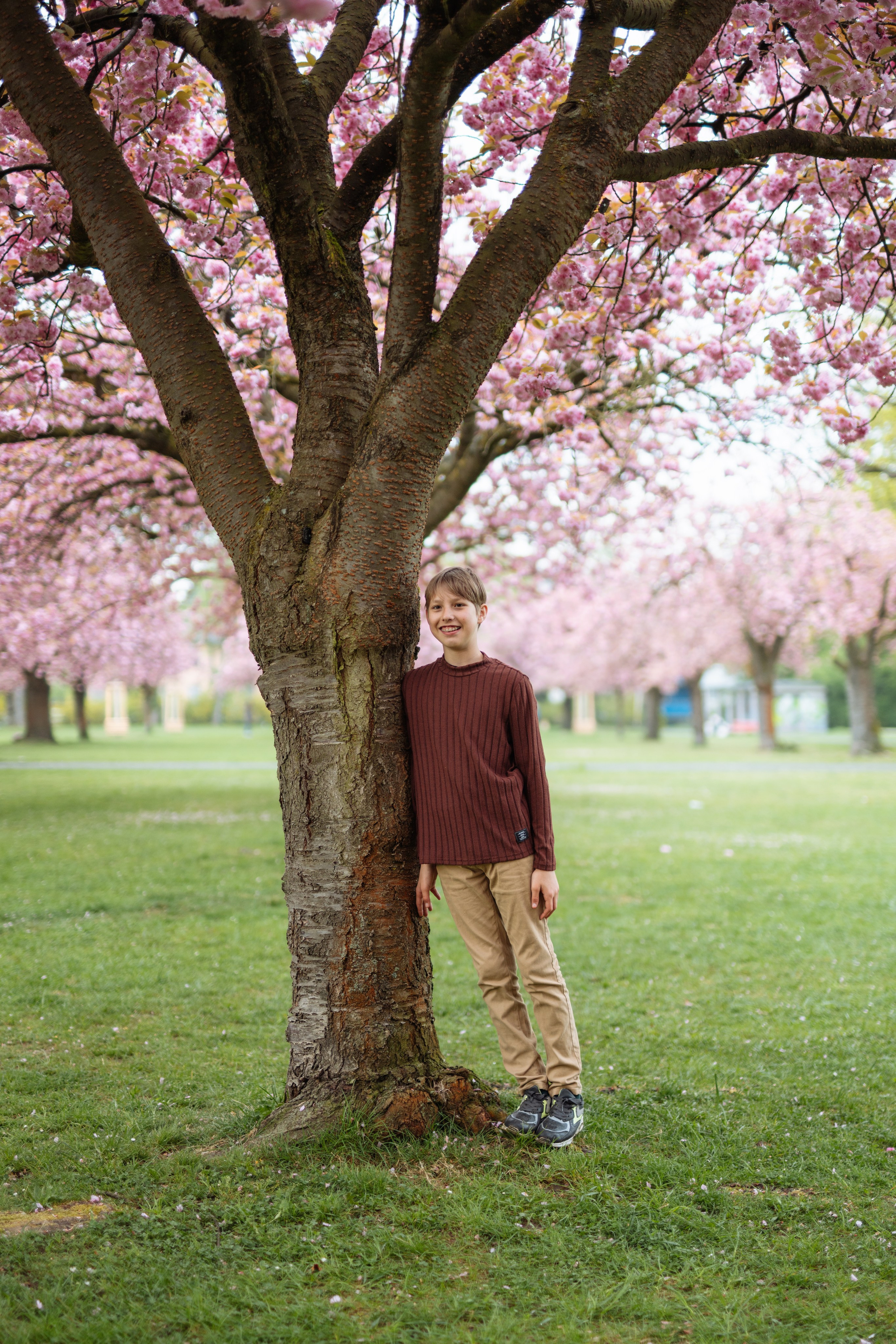 Fully blloming. Photographer in London Daria Agafonova