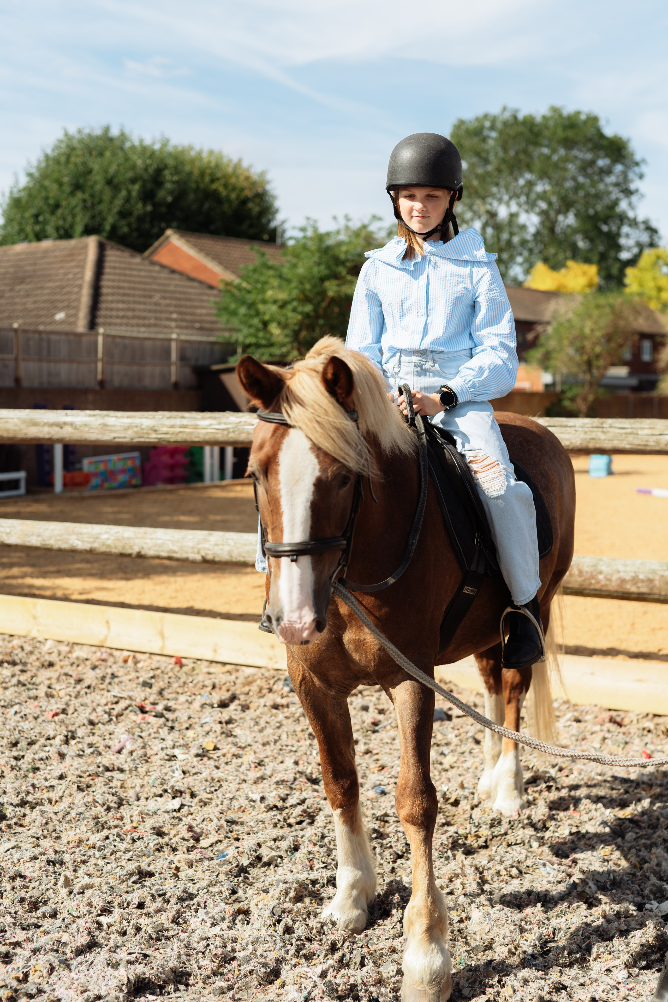 Horse party. Photographer in London Daria Agafonova