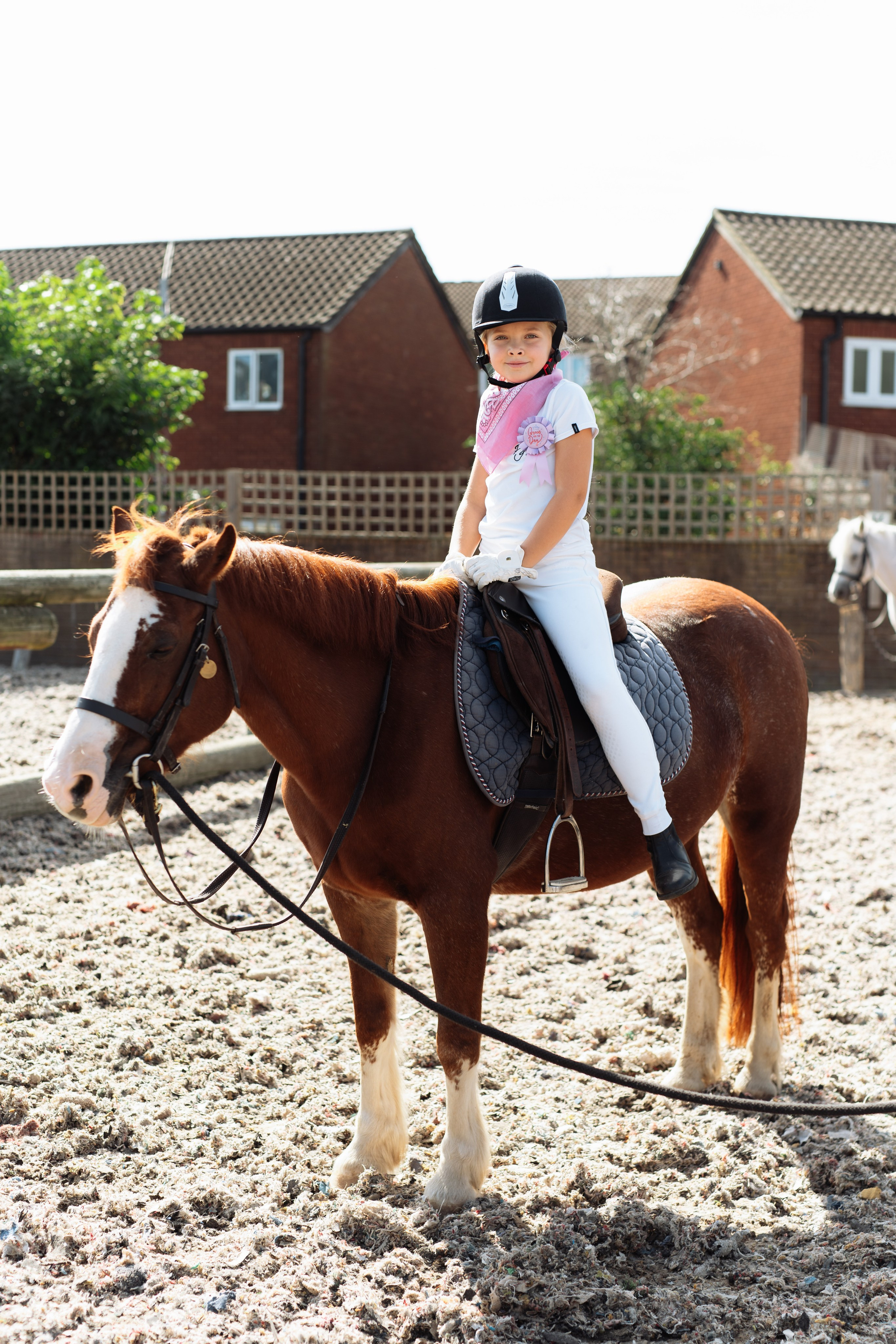Horse party. Photographer in London Daria Agafonova
