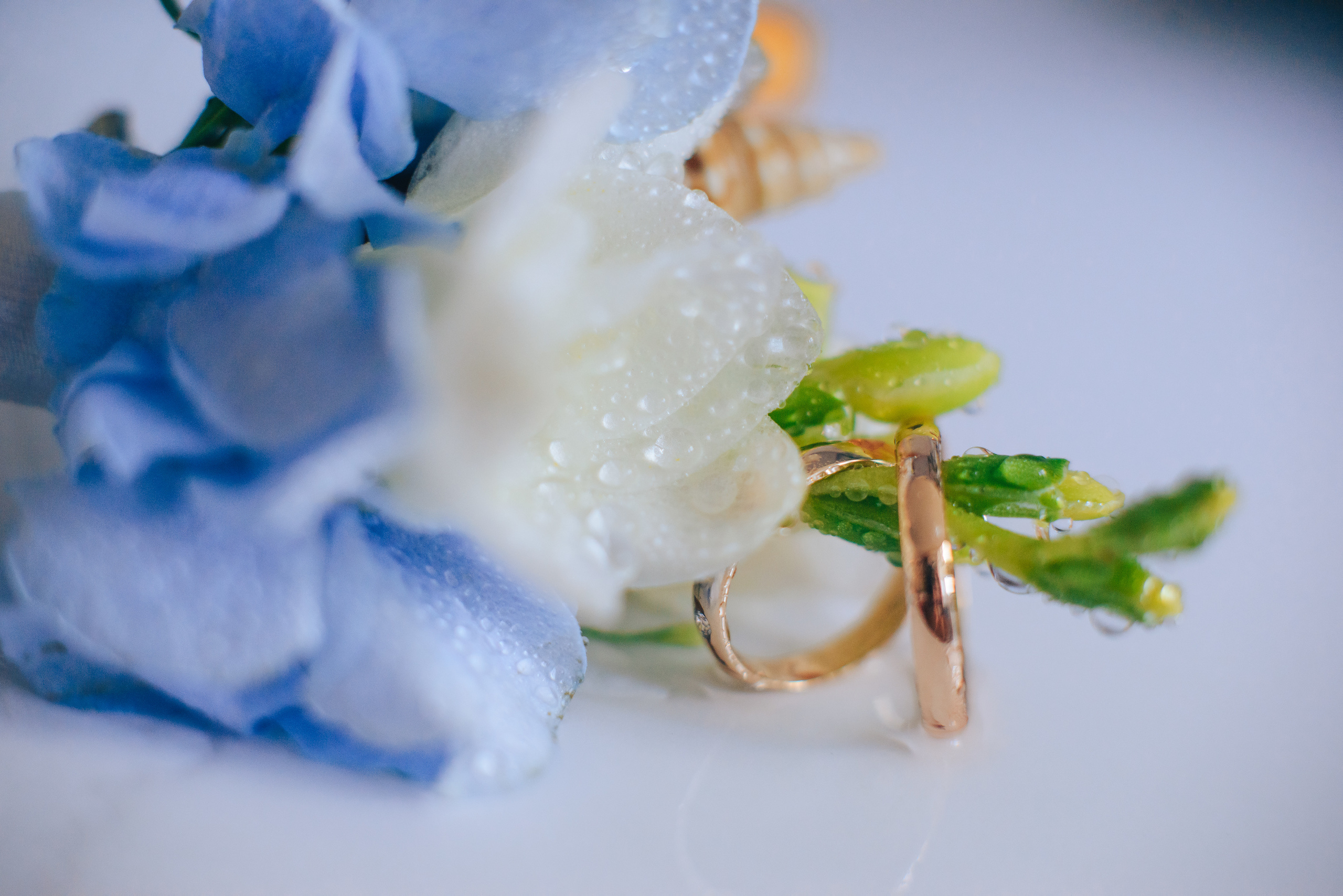 Wedding by the sea. Aleksey and Tatyana. Photographer in London Daria Agafonova