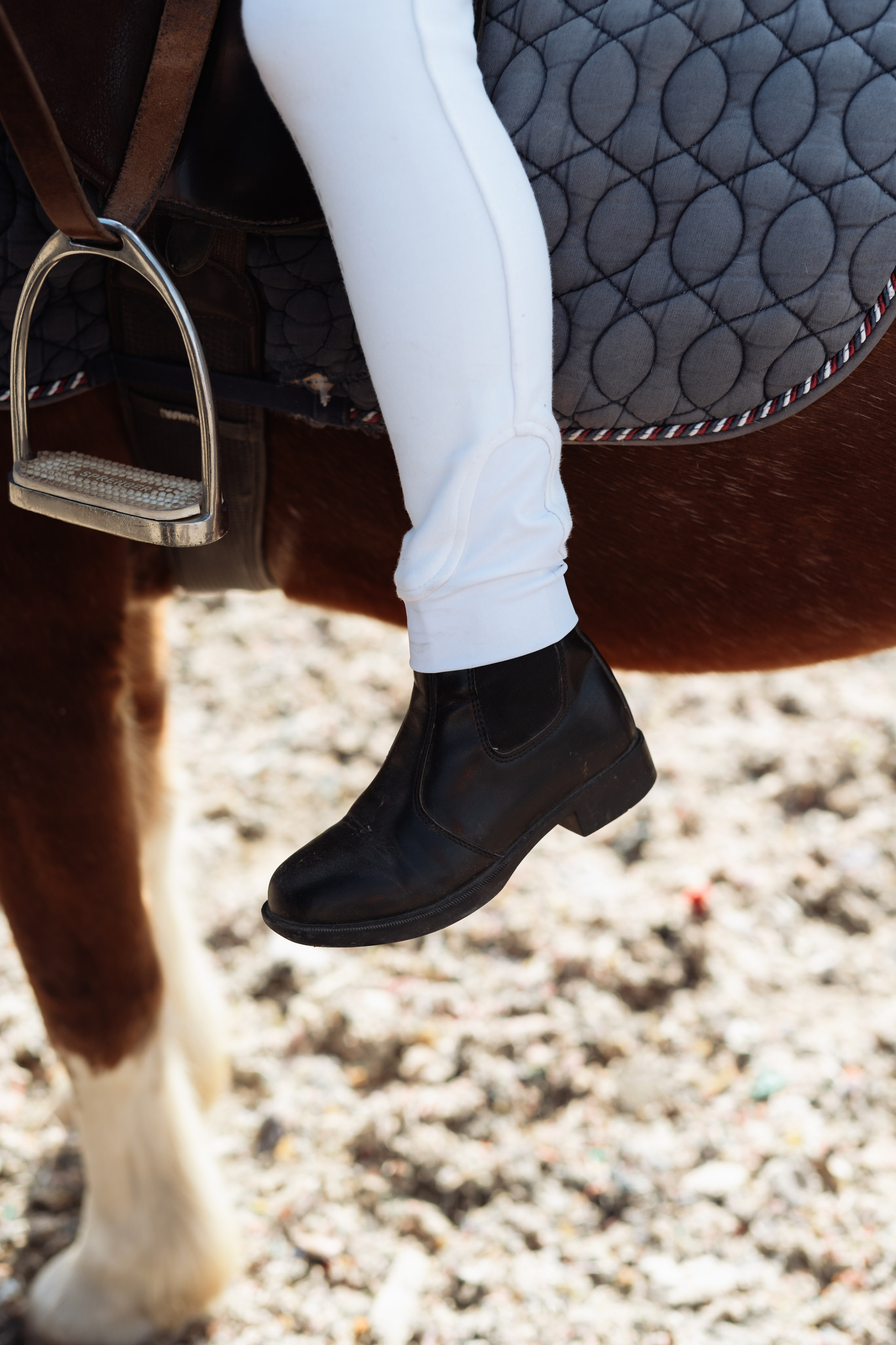 Horse party. Photographer in London Daria Agafonova