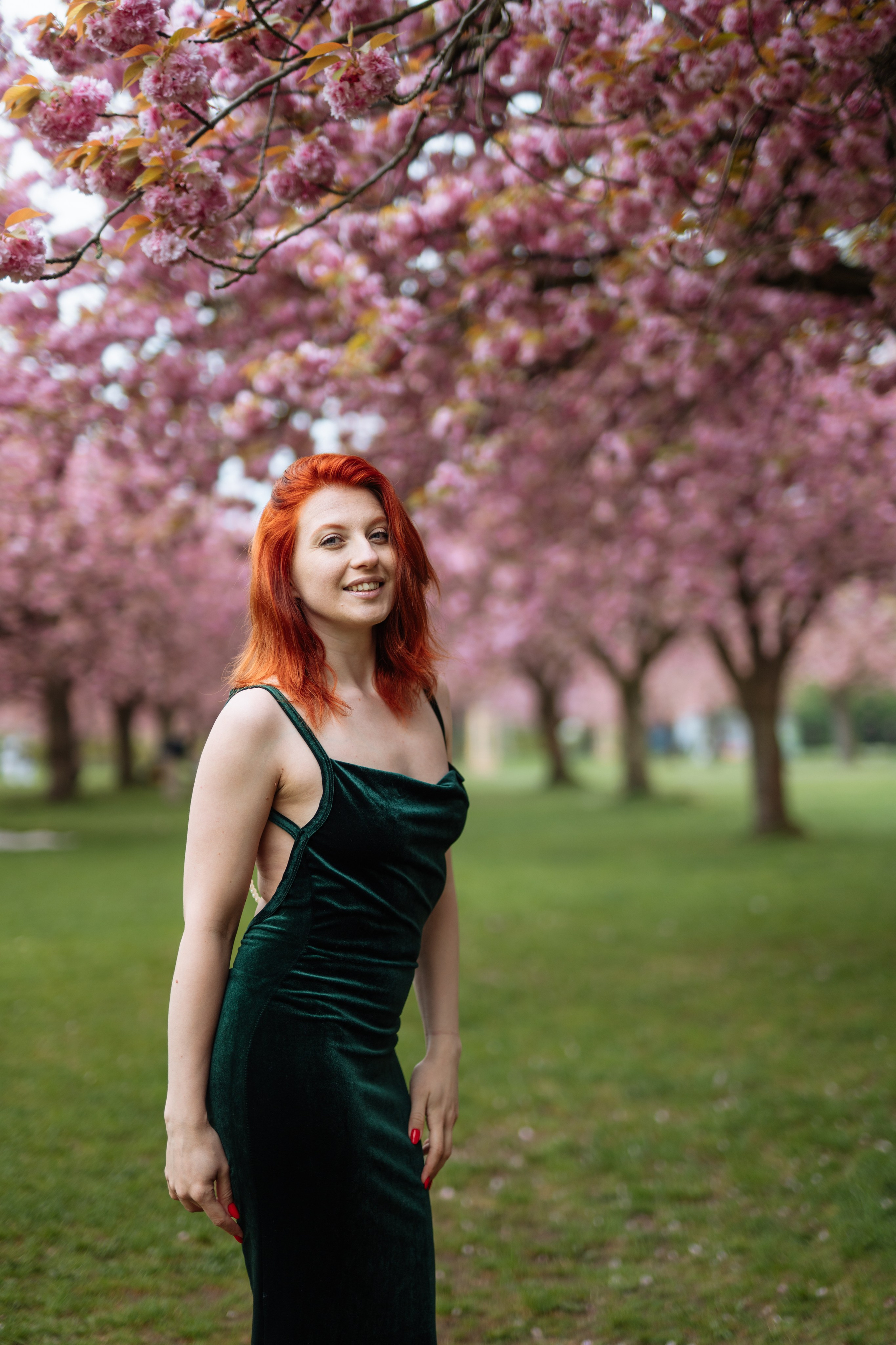 Fully blloming. Photographer in London Daria Agafonova