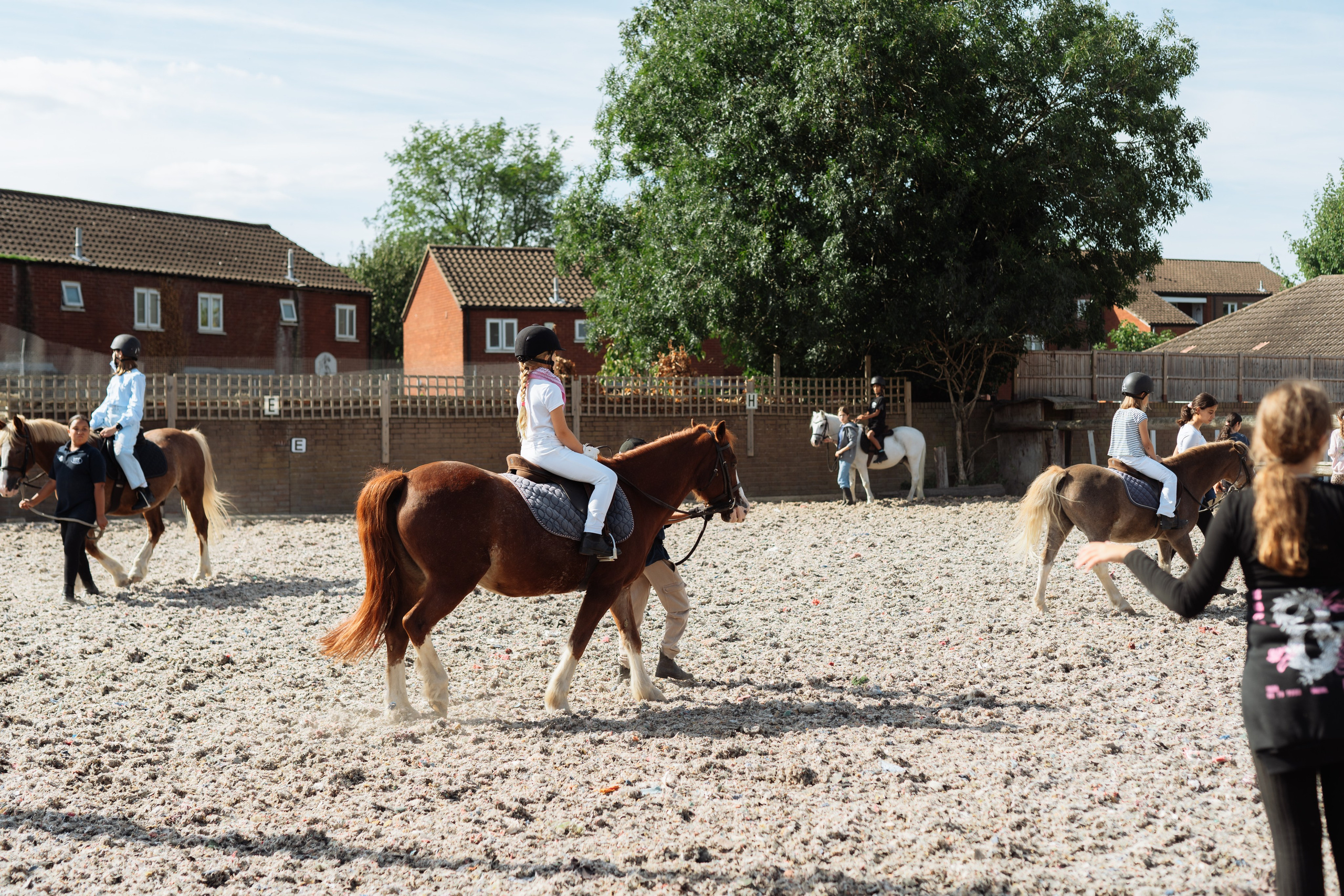 Horse party. Photographer in London Daria Agafonova