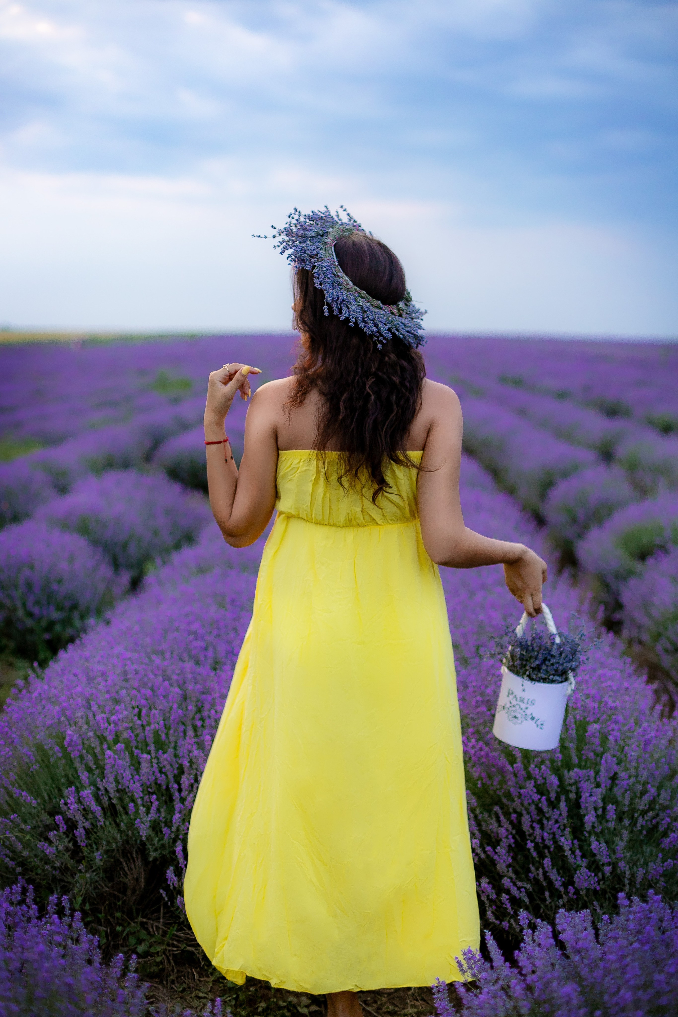 Lavander. Anastasiia Tkachova — Photography & Branding