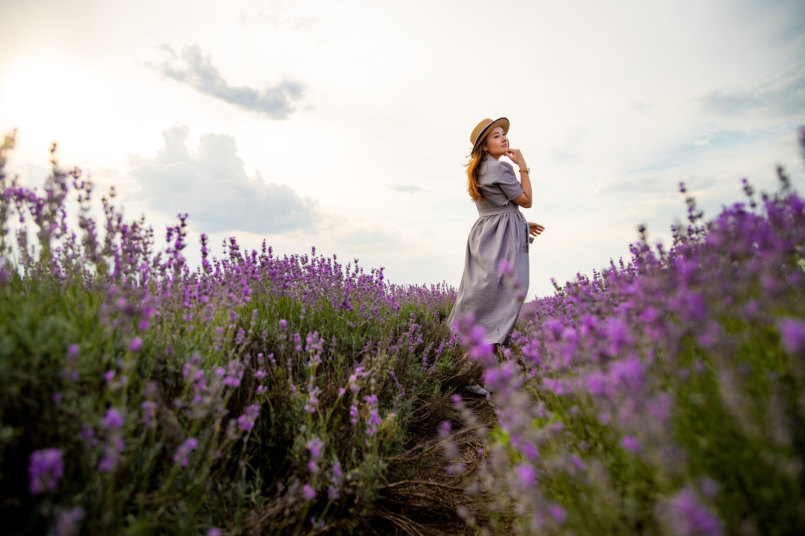 Lavander. Anastasiia Tkachova — Photography & Branding