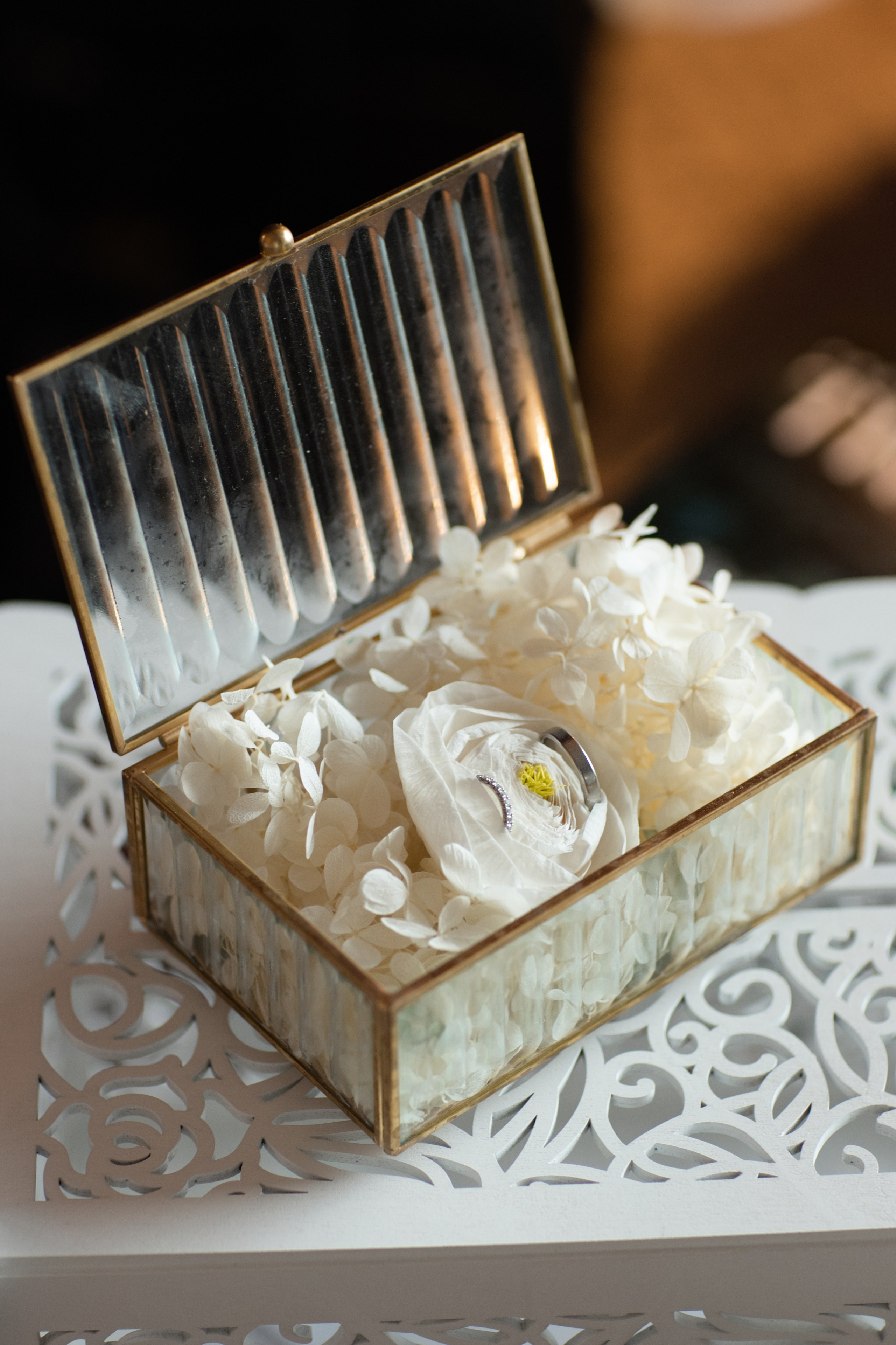 F & V. Фотограф в Южном Уэльсе — семейная, портретная и брендинг съёмка