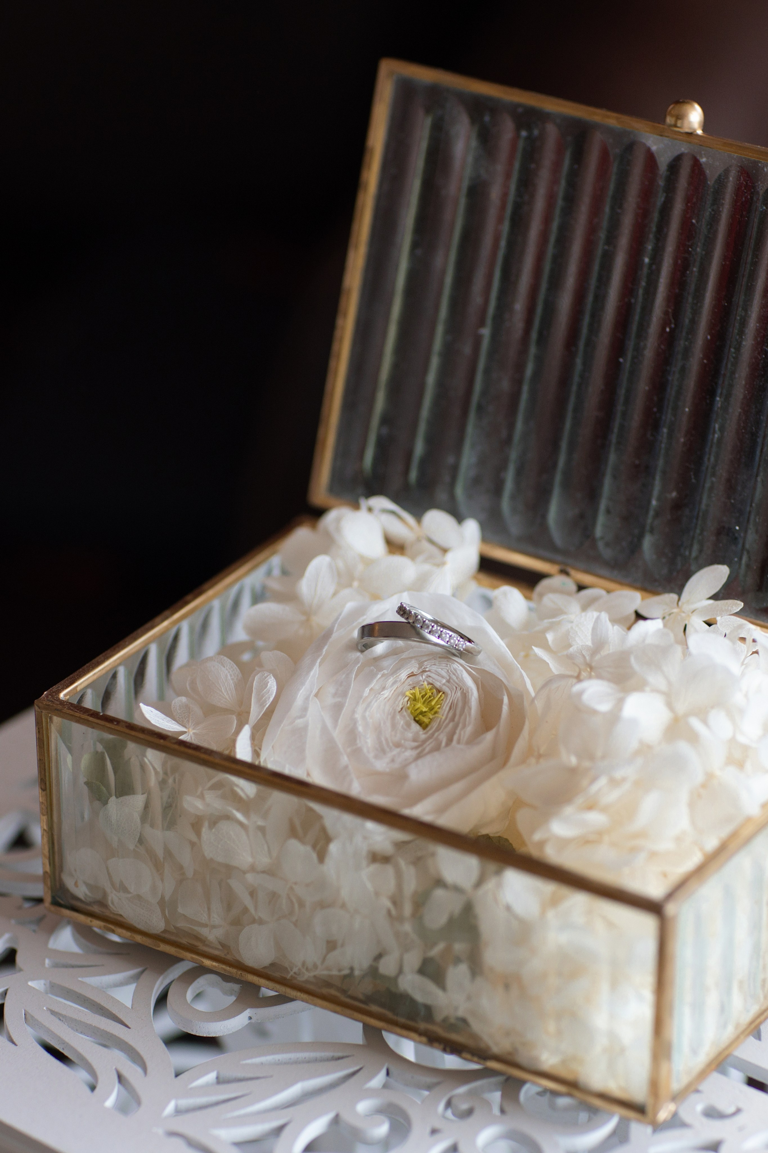 F & V. Фотограф в Южном Уэльсе — семейная, портретная и брендинг съёмка