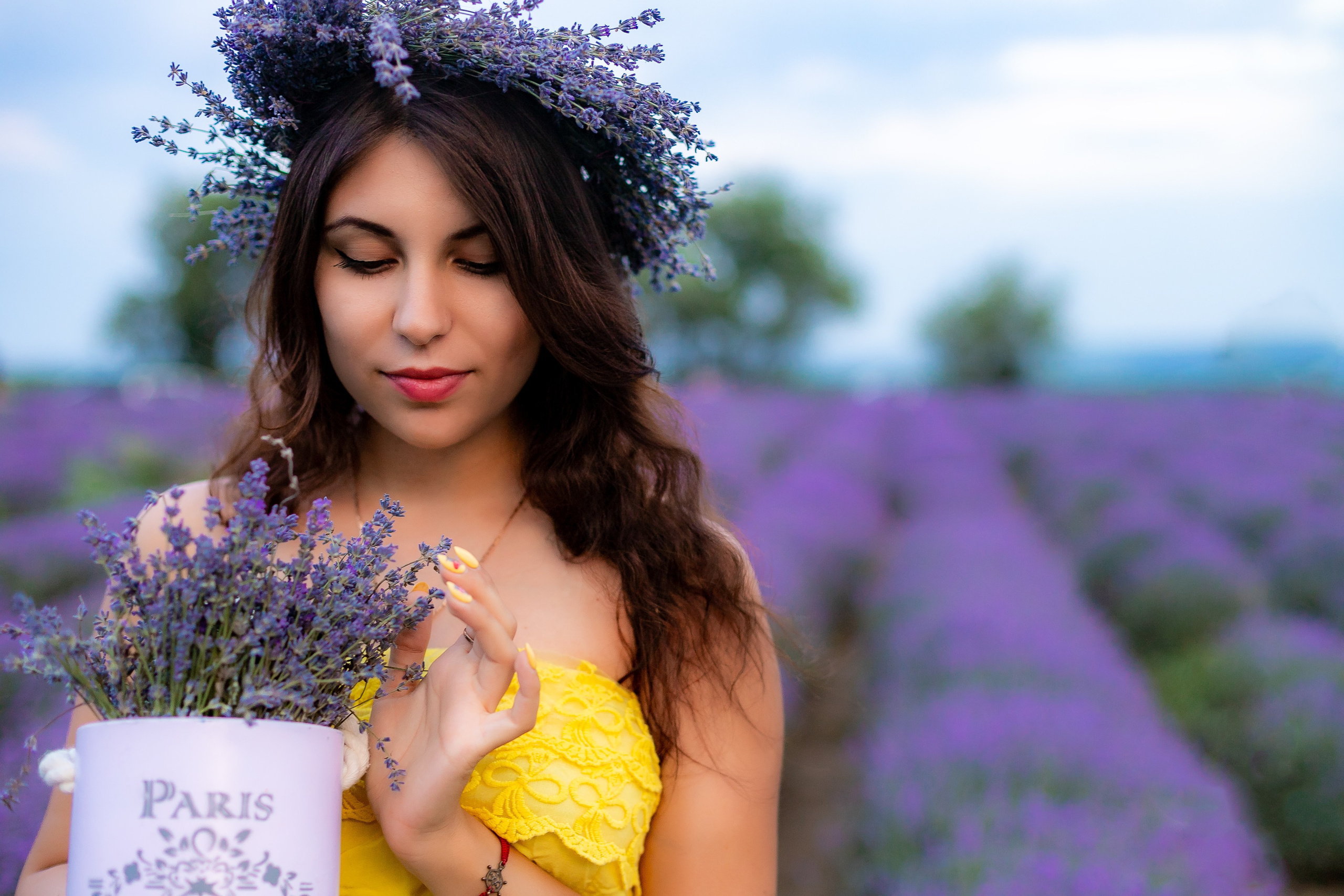 Lavander. Anastasiia Tkachova — Photography & Branding