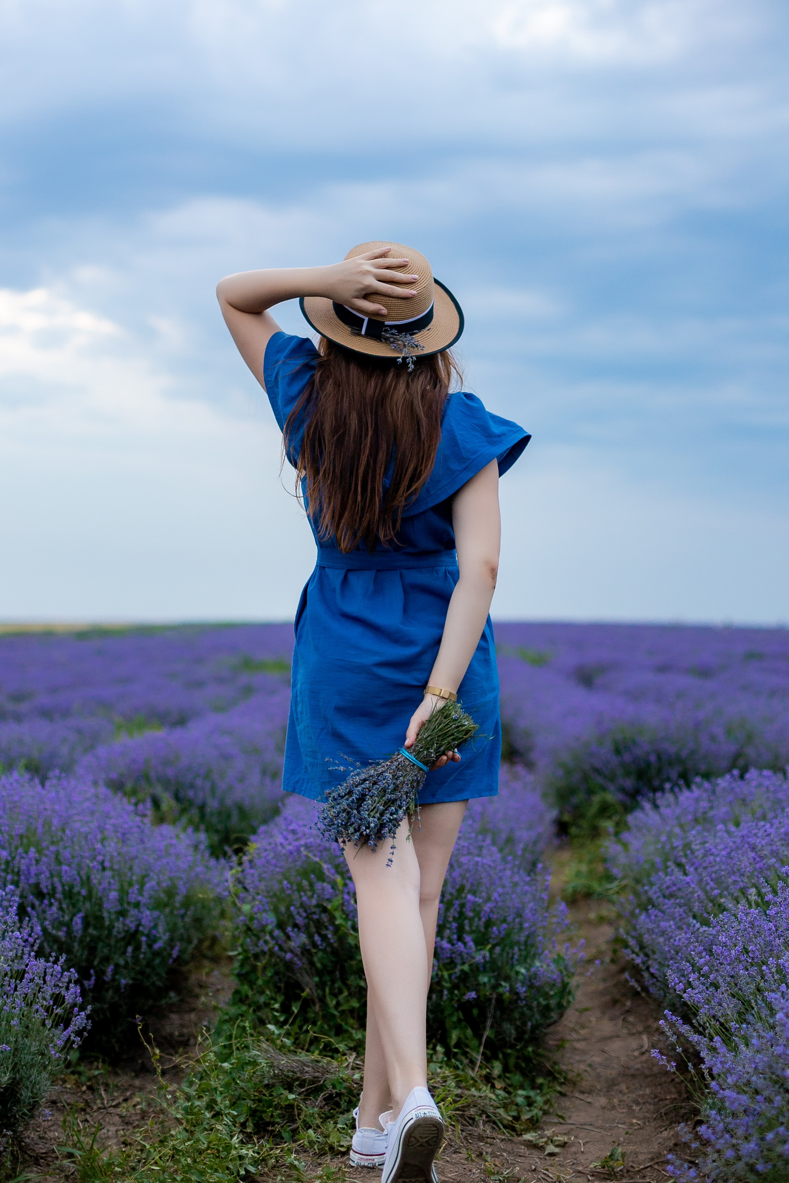 Lavander. Anastasiia Tkachova — Photography & Branding