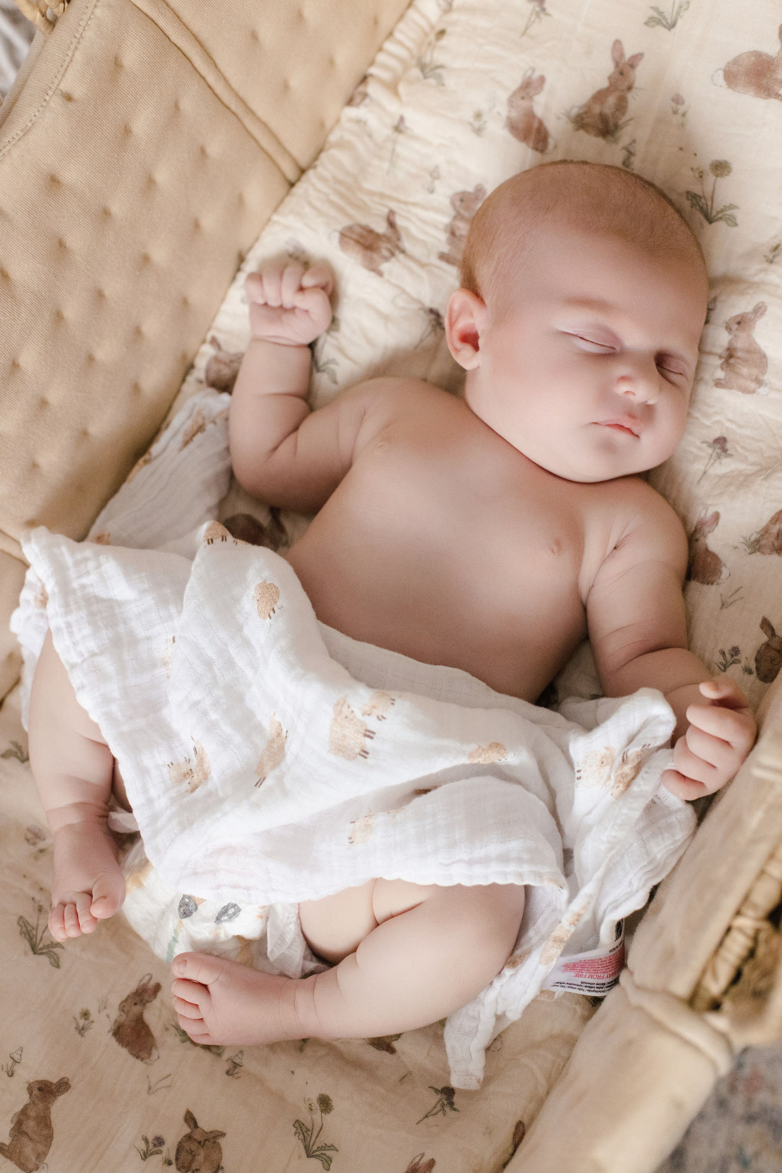 Emmili. Anastasiia Tkachova — Photography & Branding