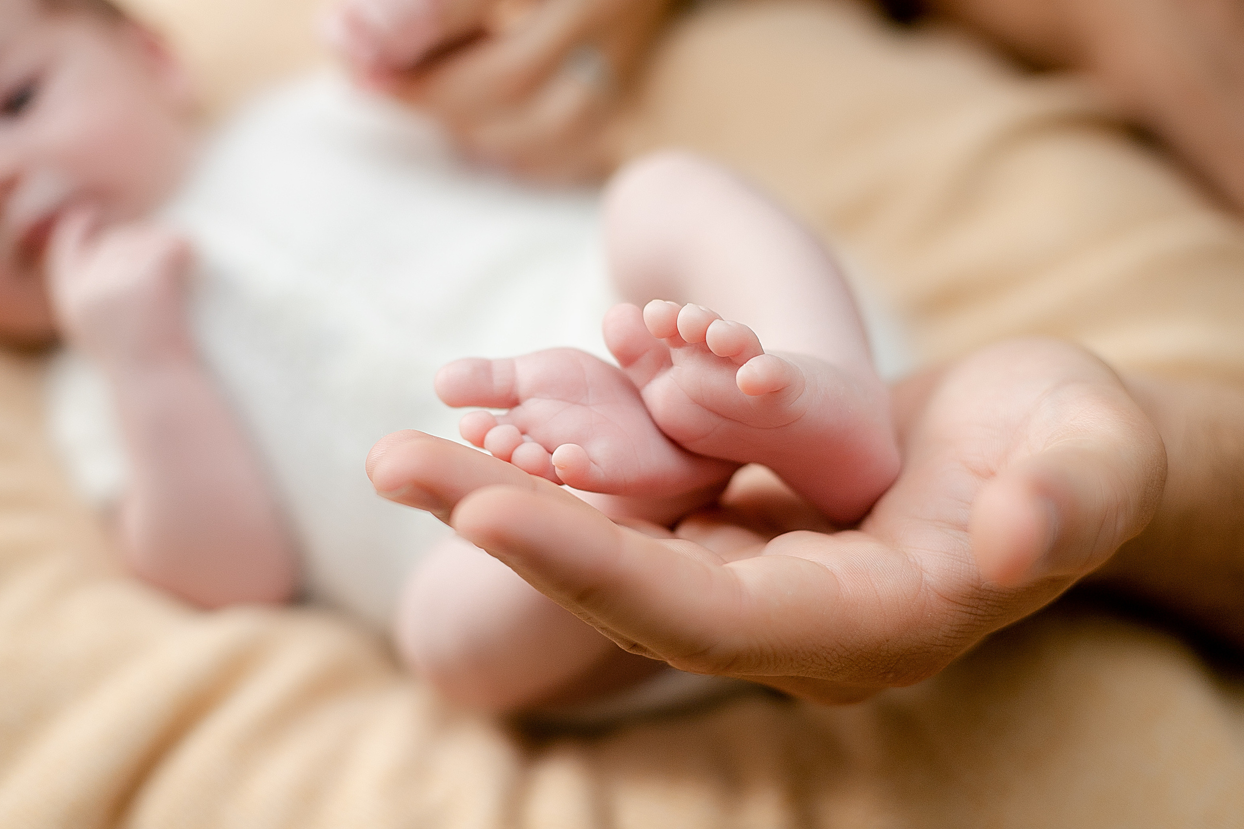 Artem 14 days. Anastasiia Tkachova — Photography & Branding