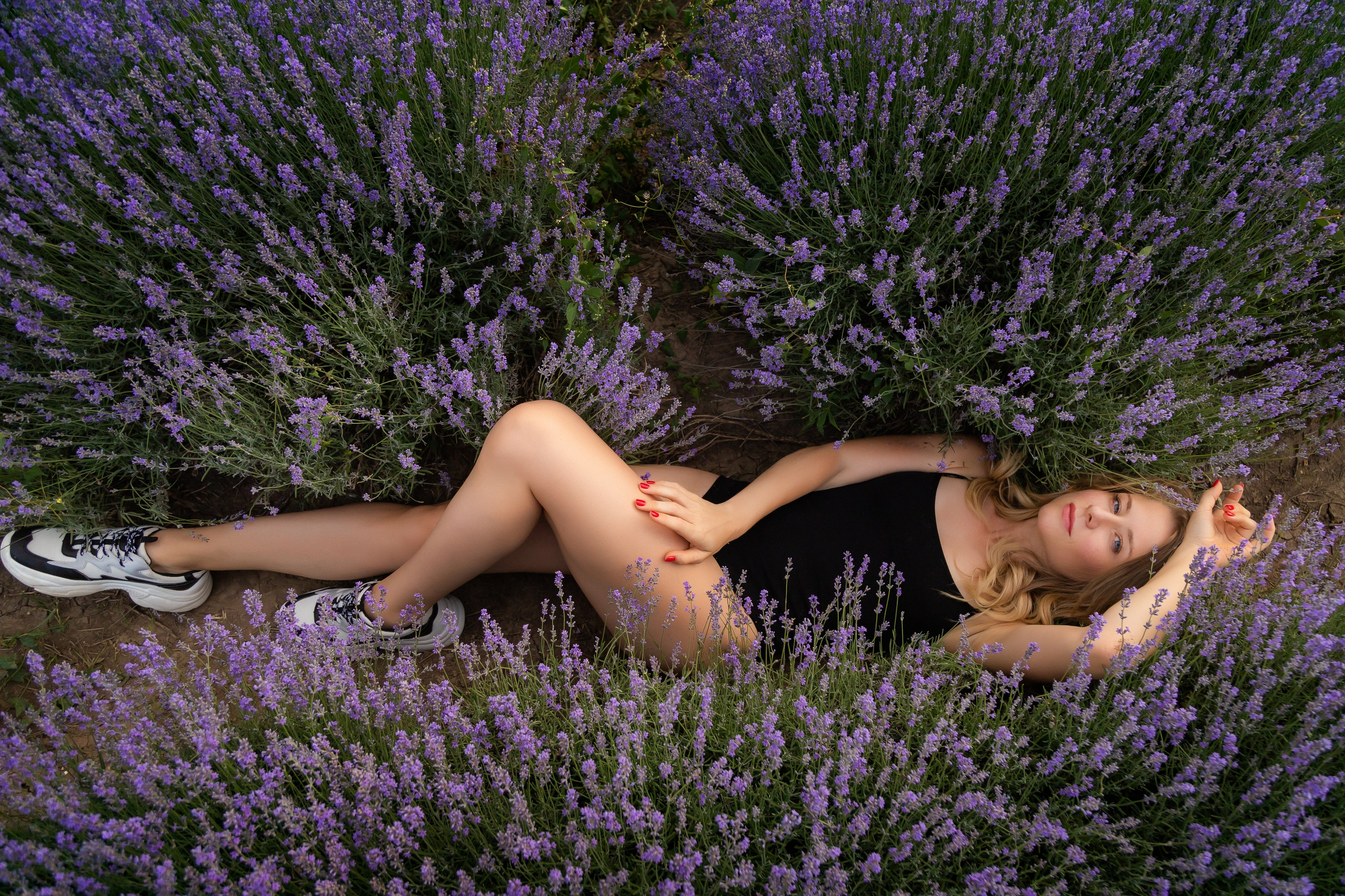 Lavander. Anastasiia Tkachova — Photography & Branding