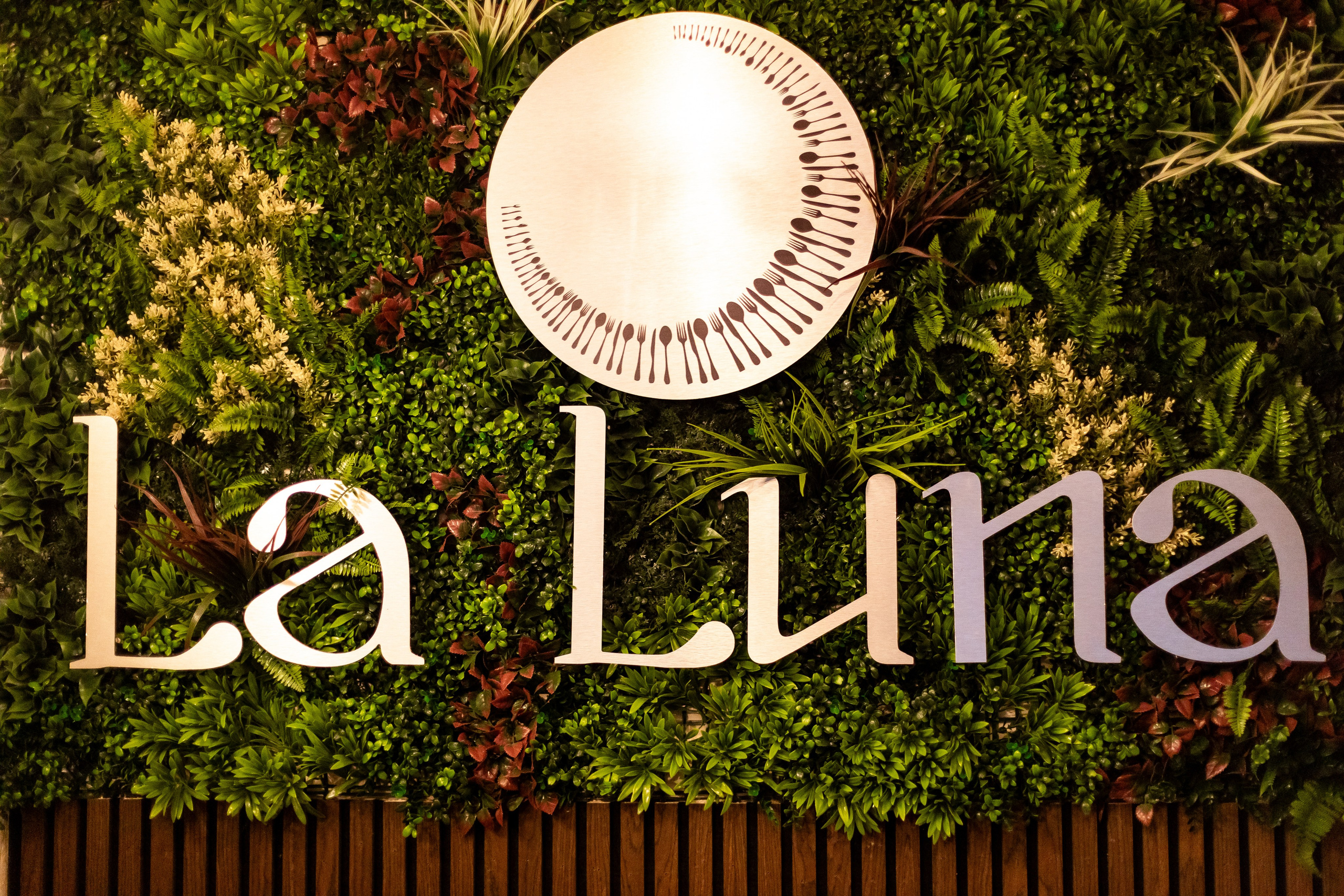 La Luna — Talbot Green. Anastasiia Tkachova — Photography & Branding